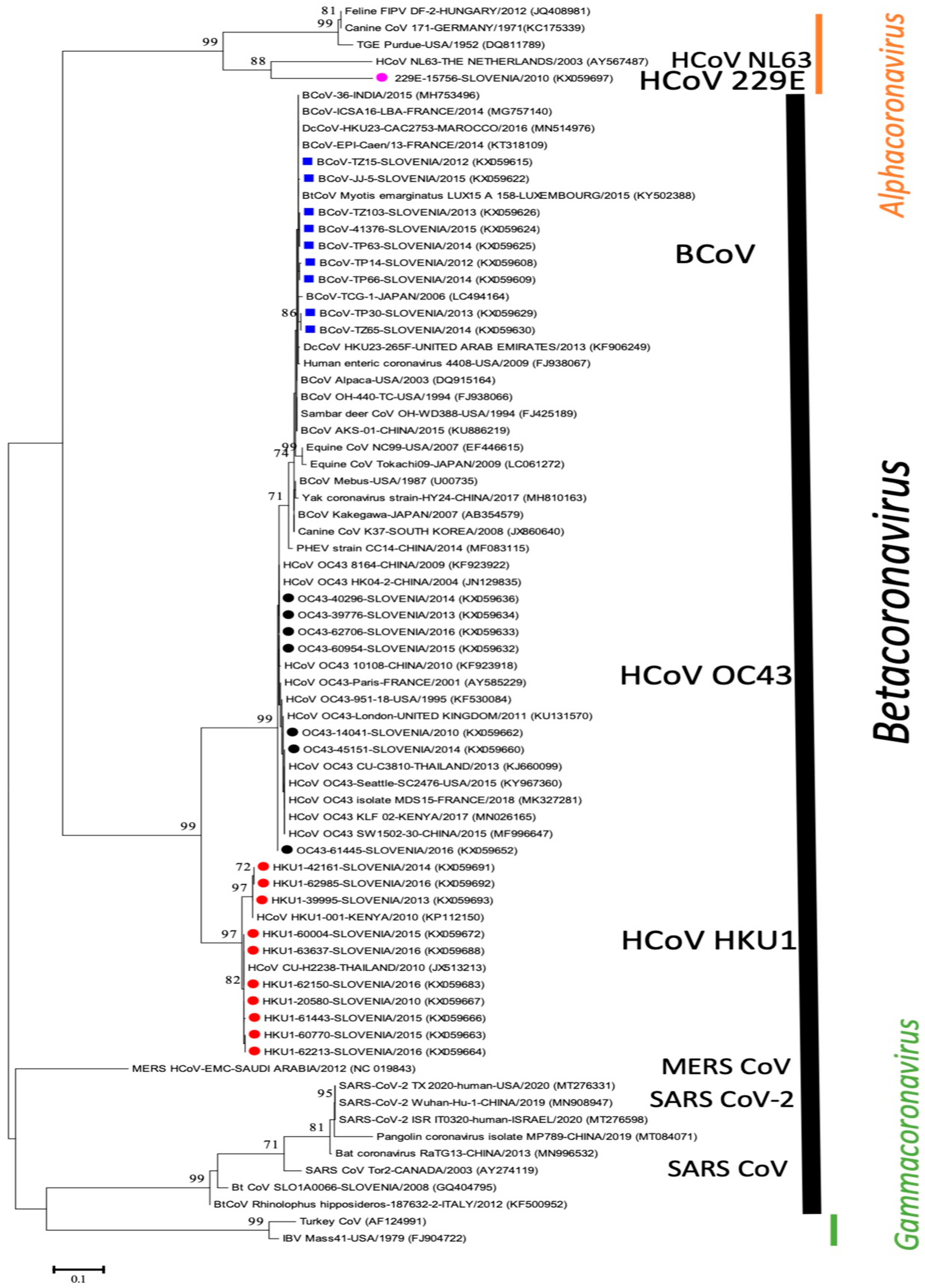 Viruses 13 00676 g001 Viruses 13 00676 g001