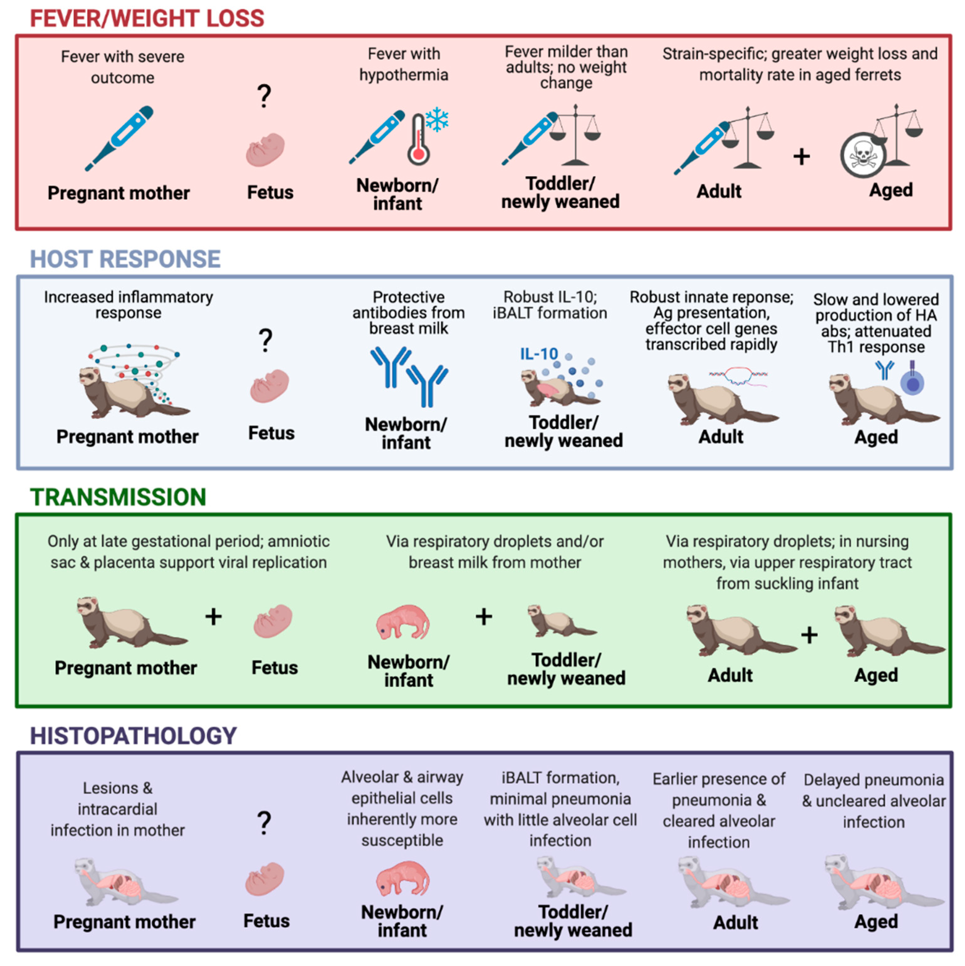 Viruses 13 00678 g001 Viruses 13 00678 g001