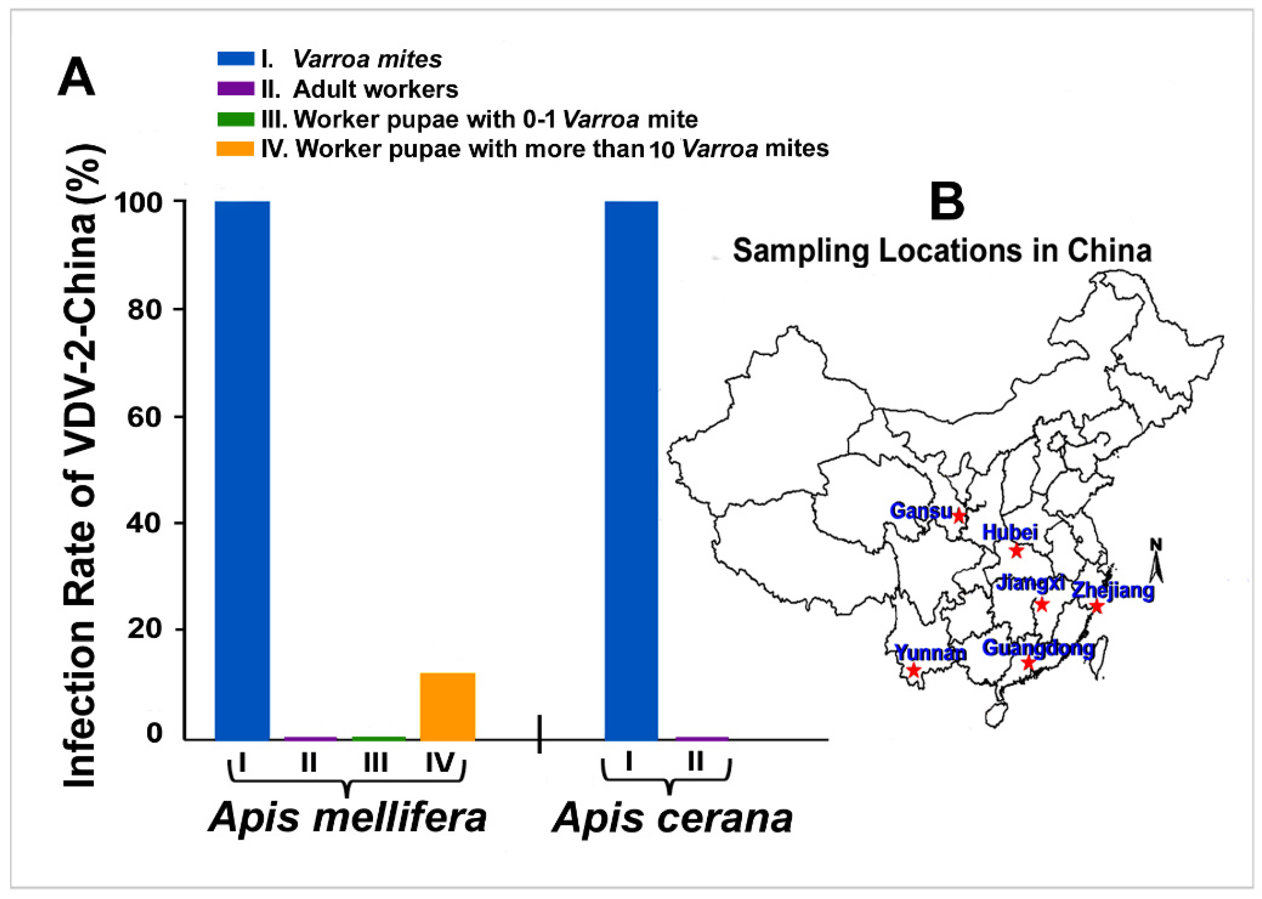 Viruses 13 00679 g004 Viruses 13 00679 g004