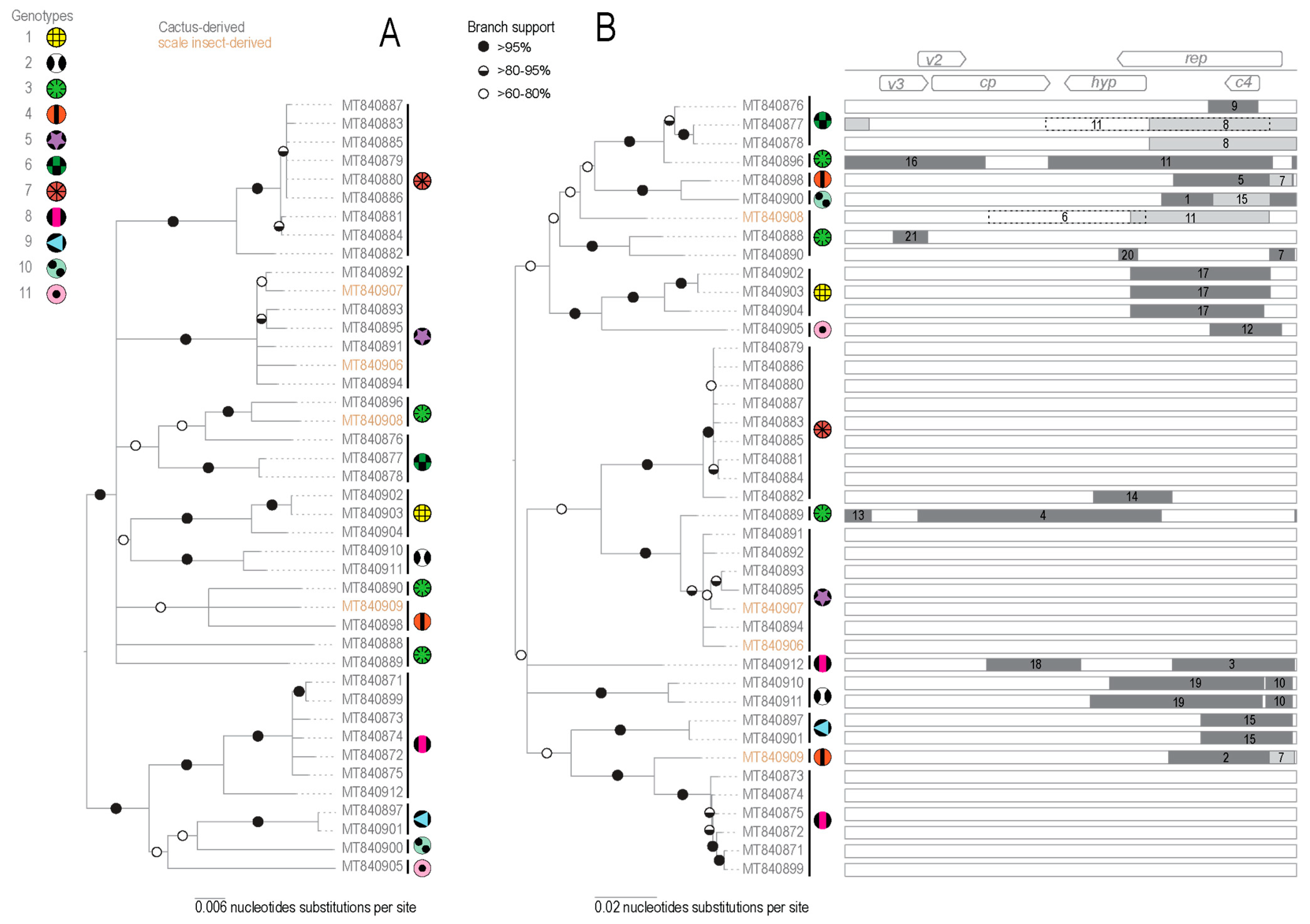 Viruses 13 00694 g003