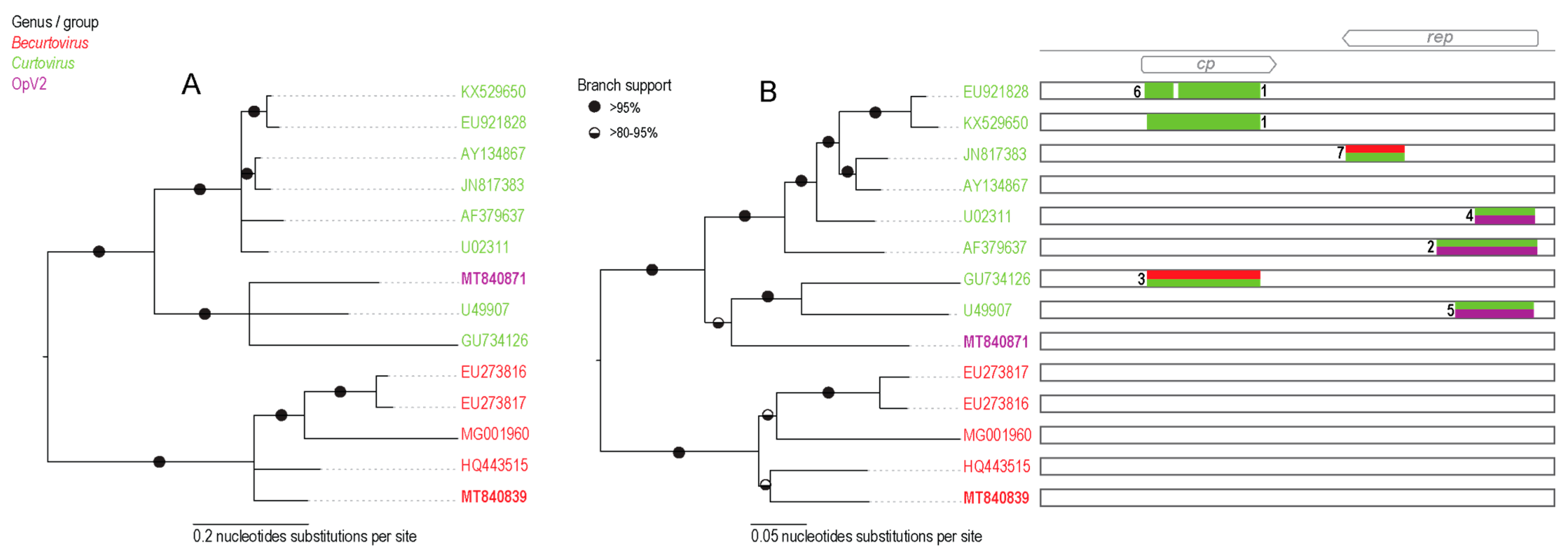 Viruses 13 00694 g005