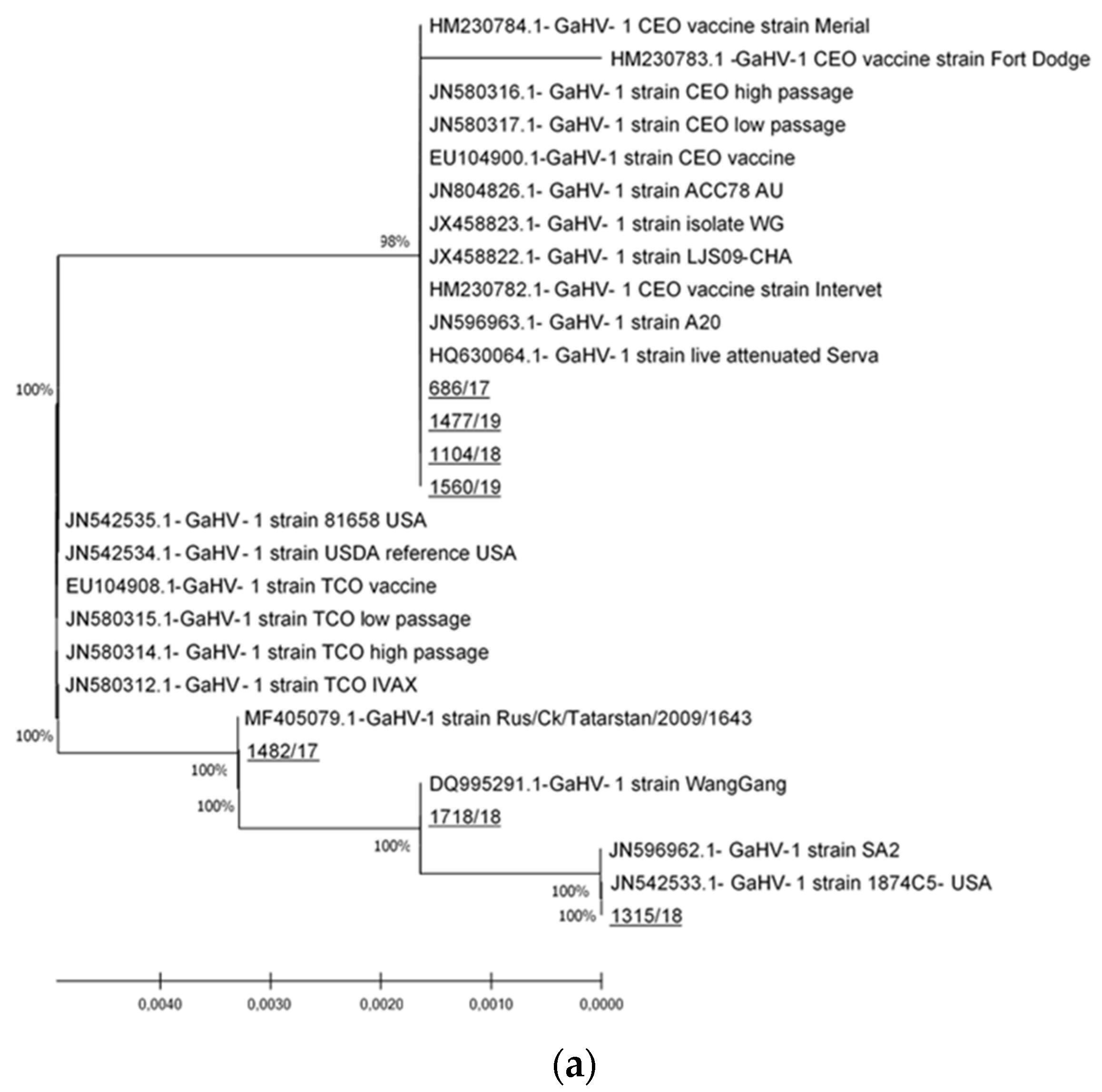 Viruses 13 00707 g002a Viruses 13 00707 g002a