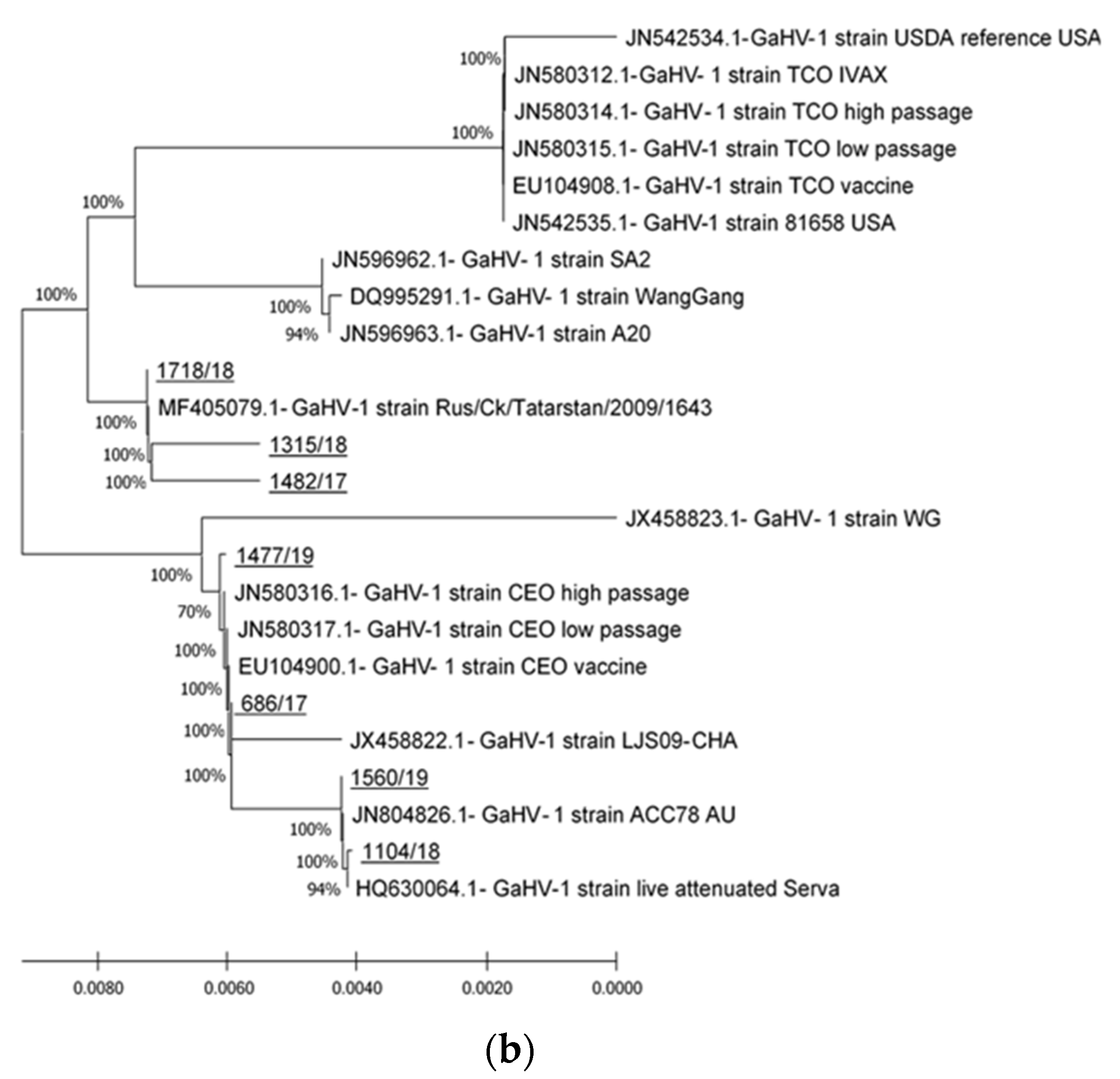 Viruses 13 00707 g002b Viruses 13 00707 g002b