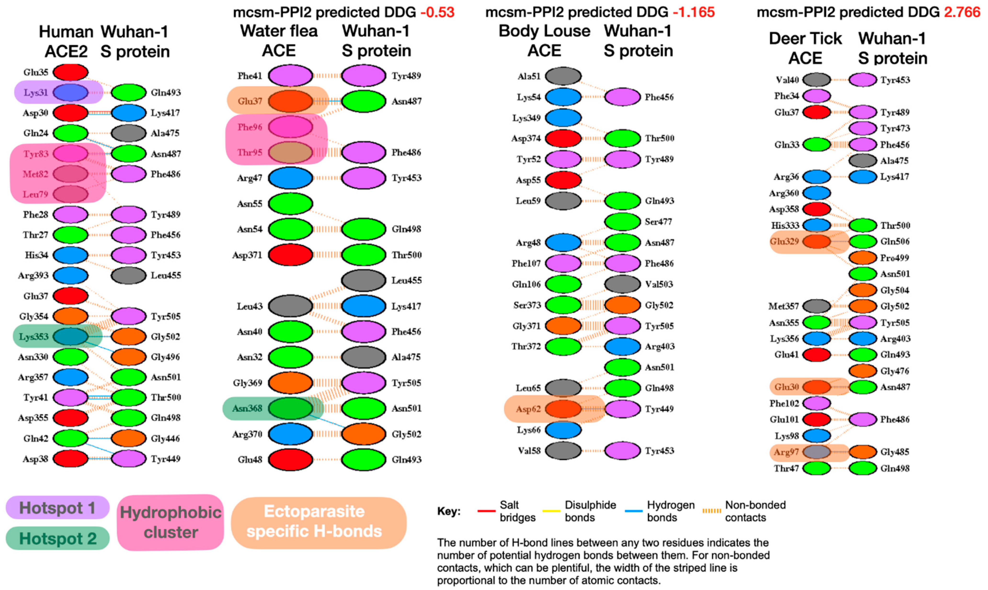 Viruses 13 00708 g001 Viruses 13 00708 g001