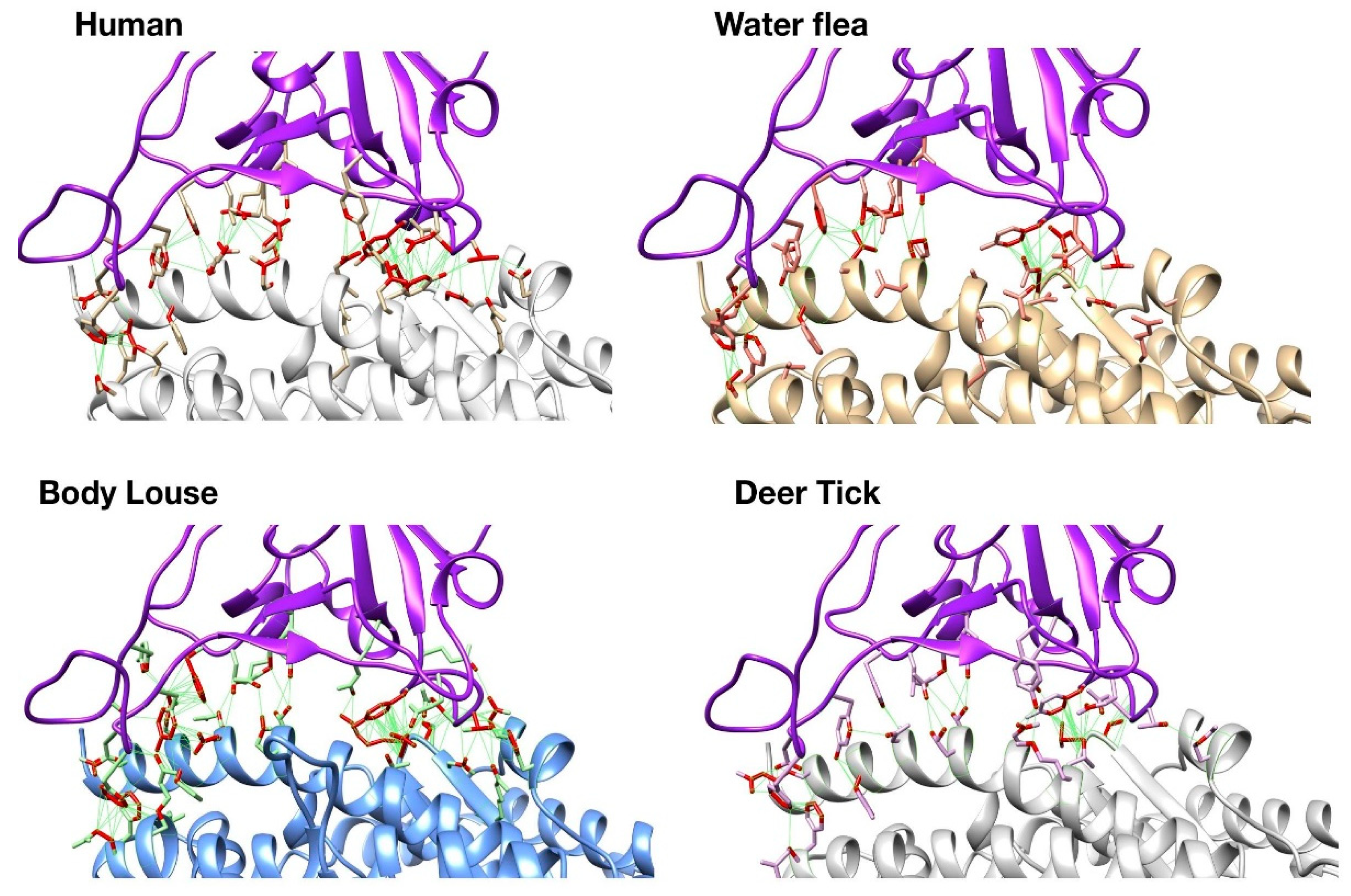 Viruses 13 00708 g002 Viruses 13 00708 g002