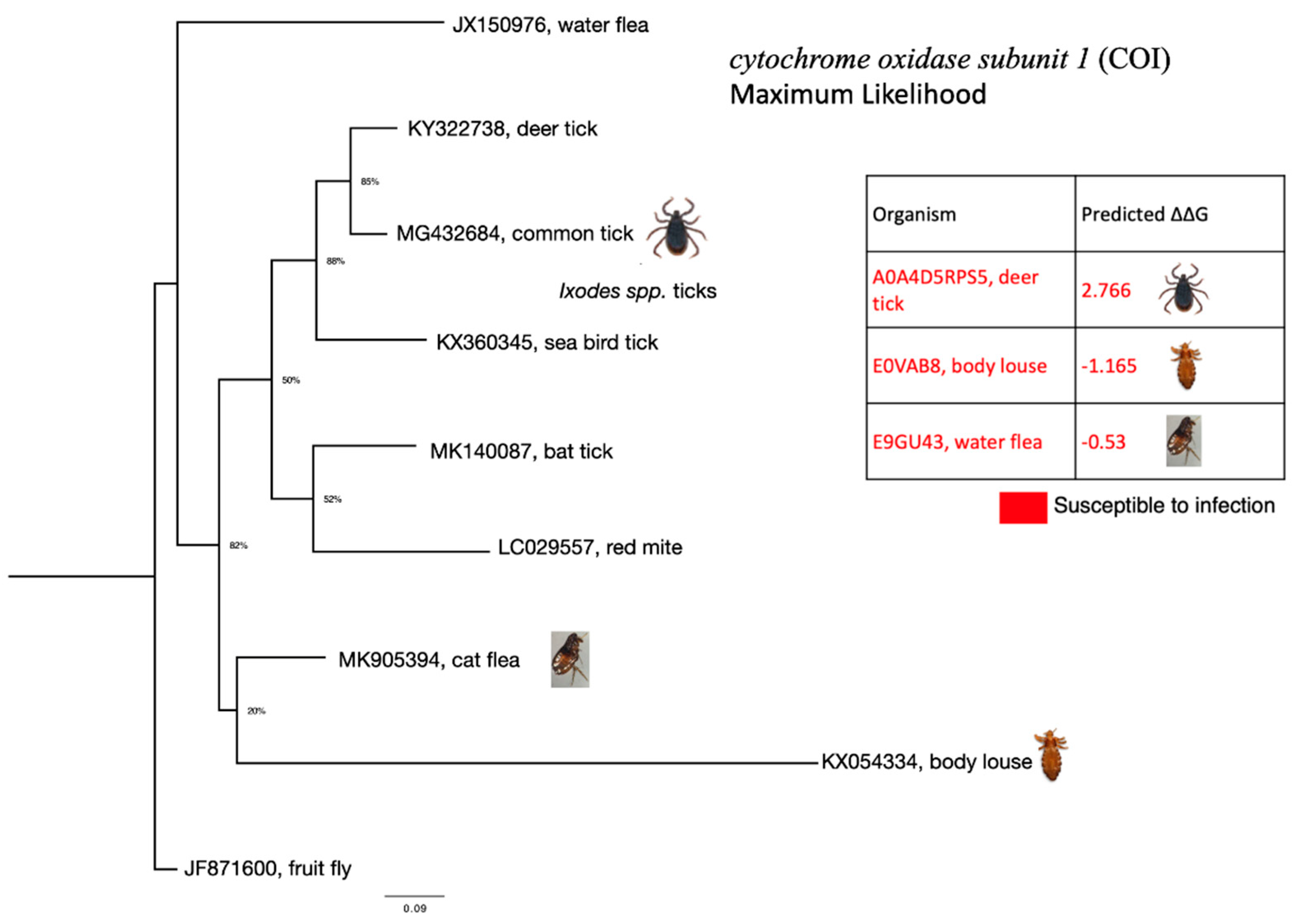 Viruses 13 00708 g005 Viruses 13 00708 g005