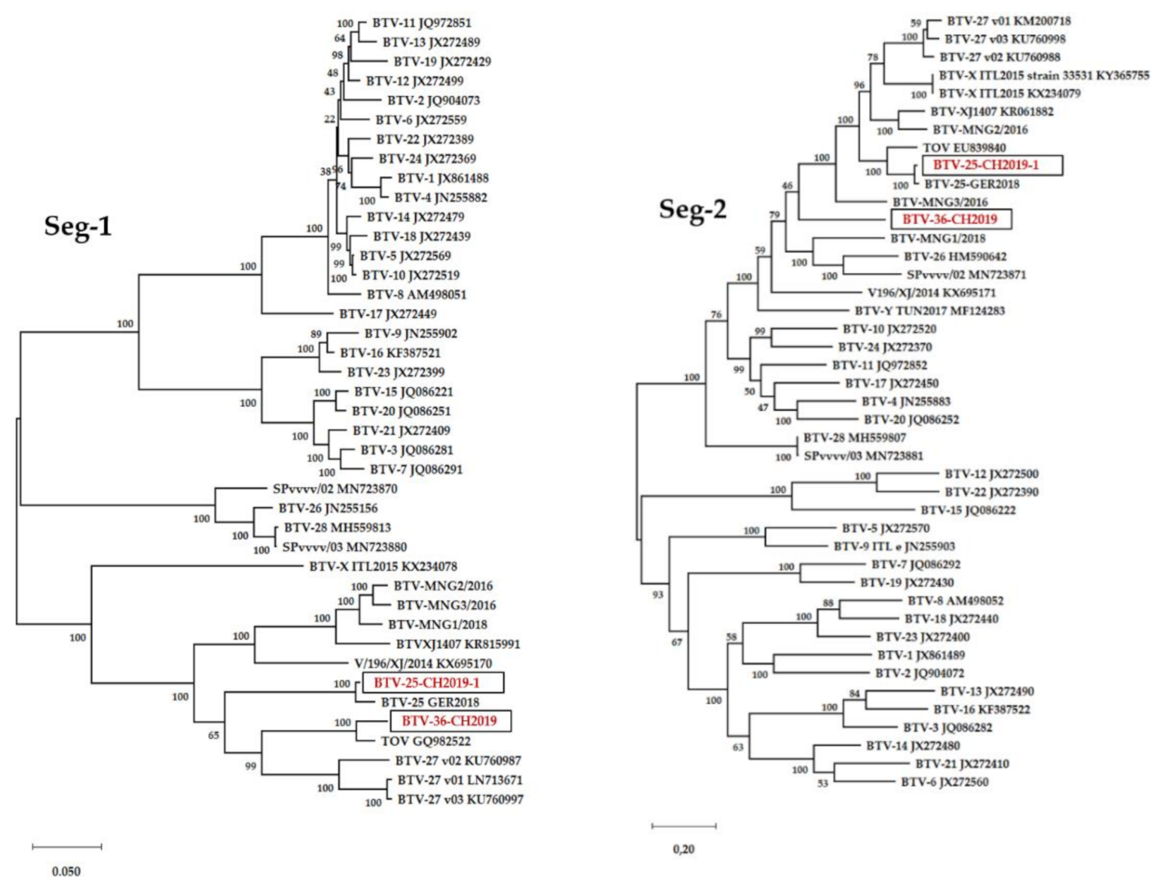 Viruses 13 00721 g002a Viruses 13 00721 g002a
