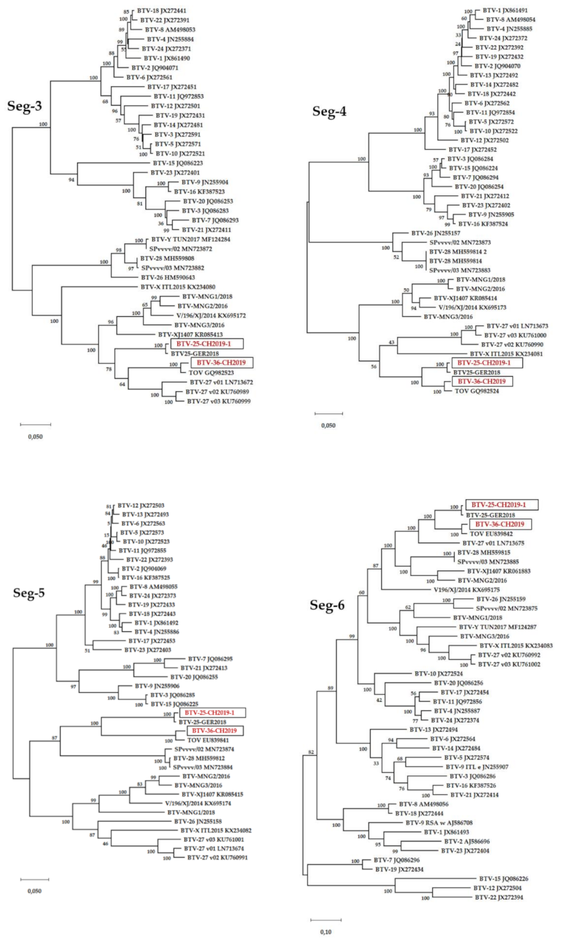 Viruses 13 00721 g002b Viruses 13 00721 g002b