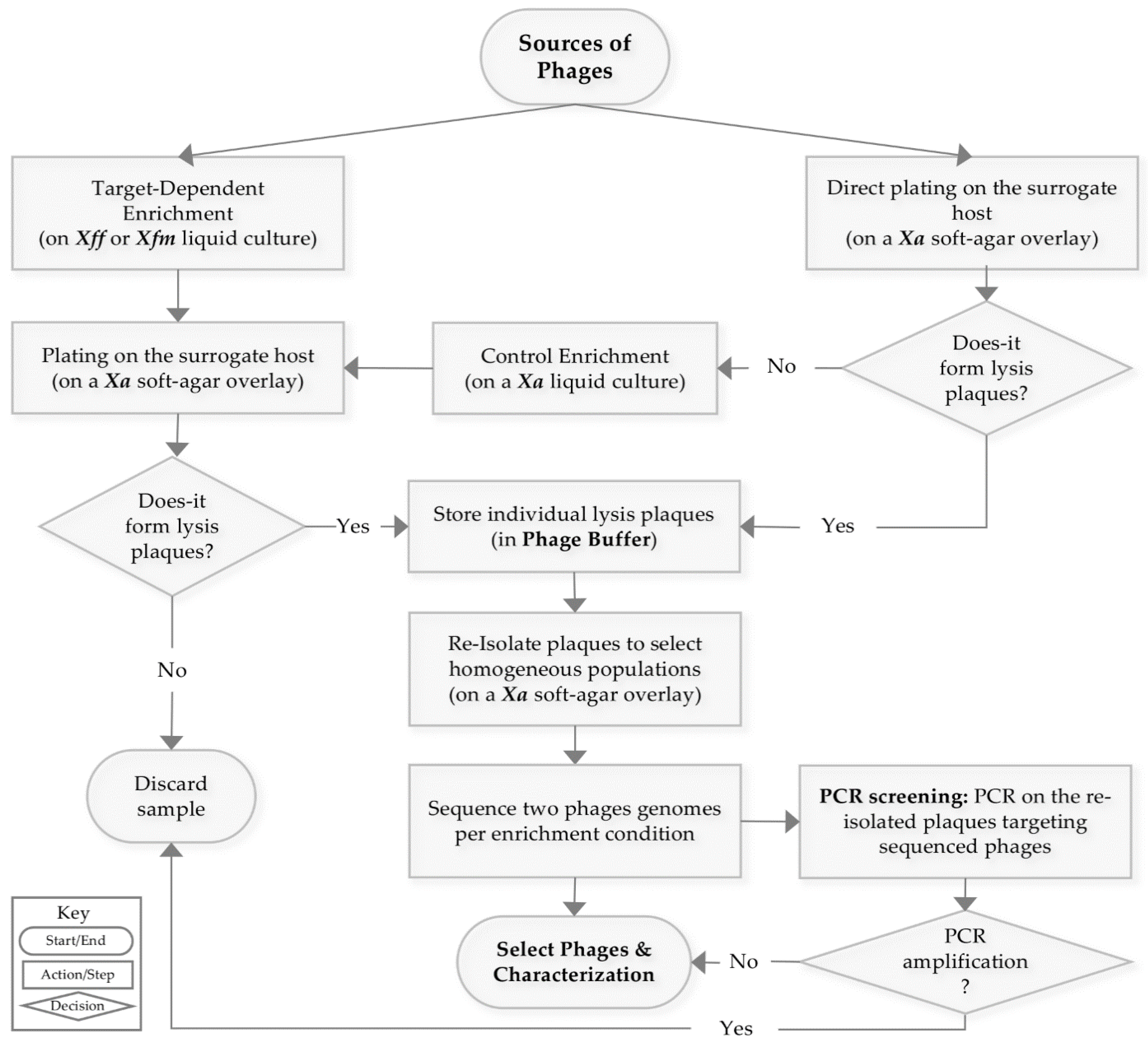 Viruses 13 00725 g001 Viruses 13 00725 g001