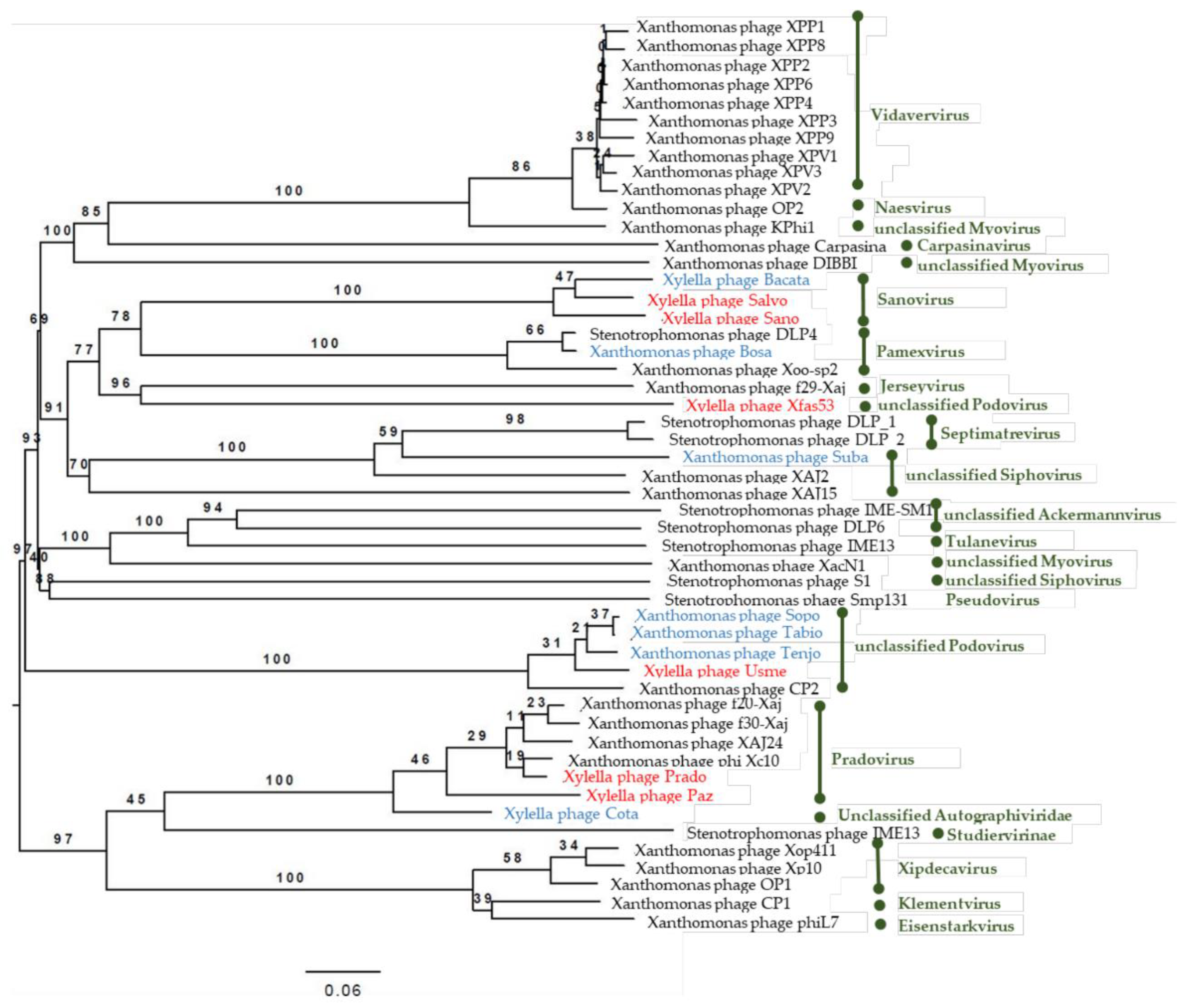Viruses 13 00725 g004 Viruses 13 00725 g004