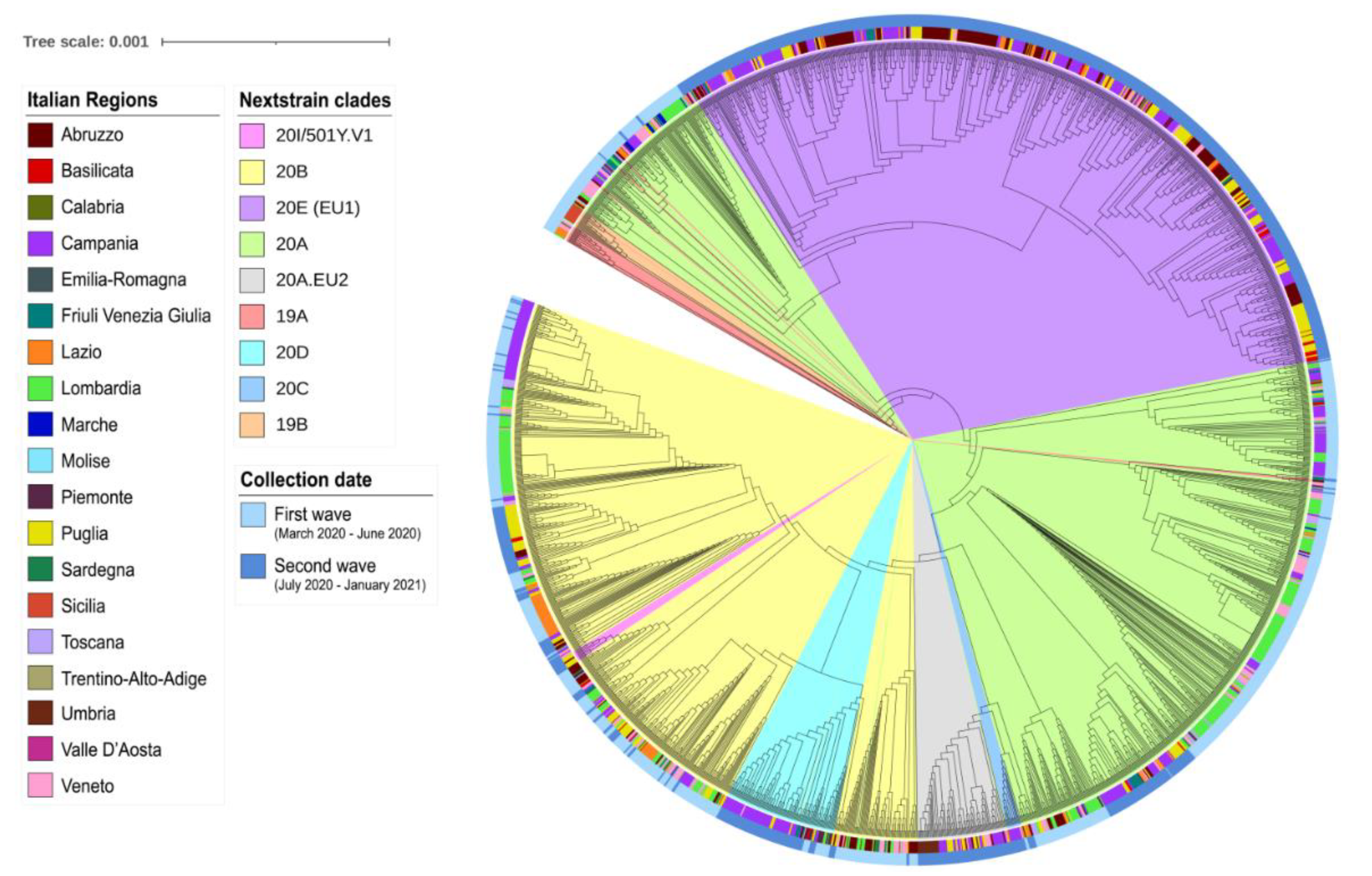 Viruses 13 00731 g002 Viruses 13 00731 g002