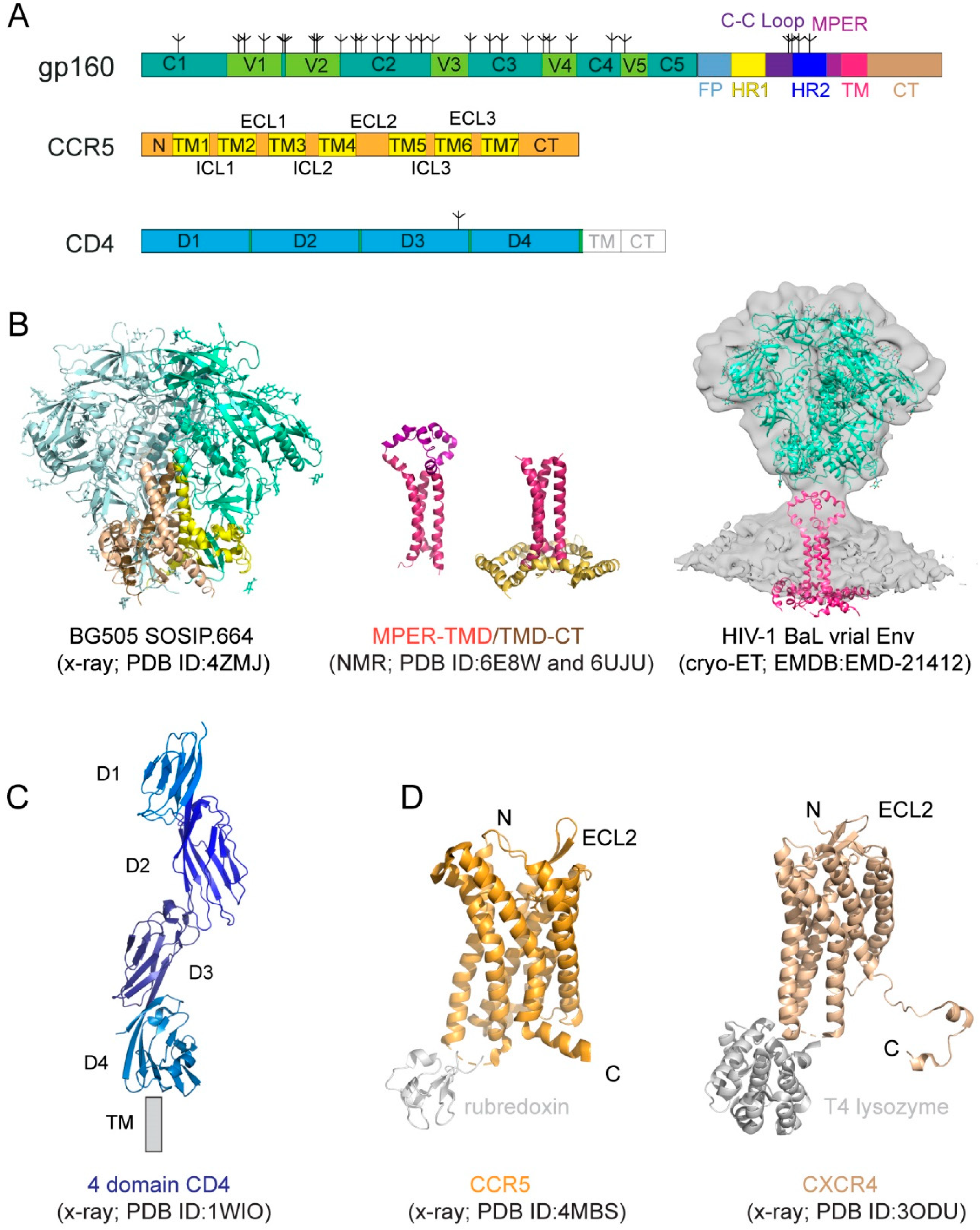 Cross sans - Discussion on PDB