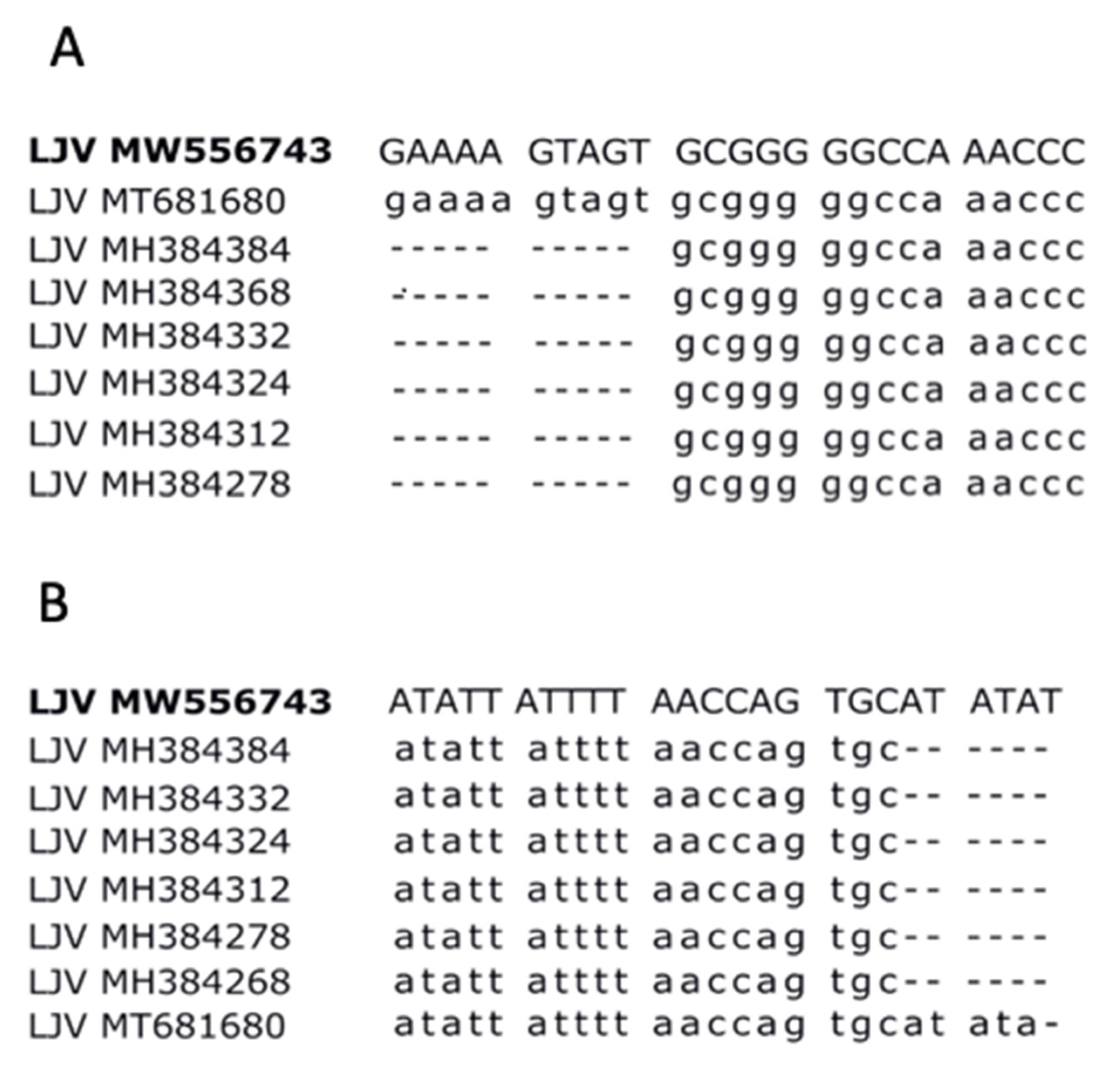 Viruses 13 00740 g003 Viruses 13 00740 g003