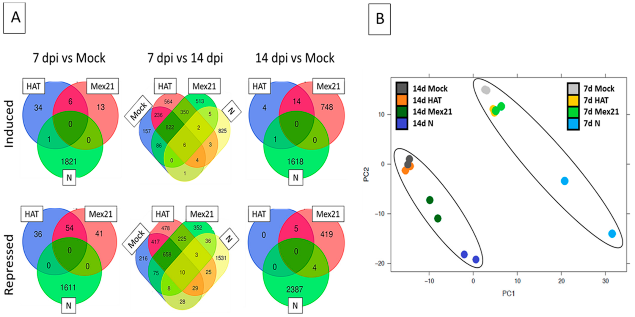 Viruses 13 00741 g003 Viruses 13 00741 g003