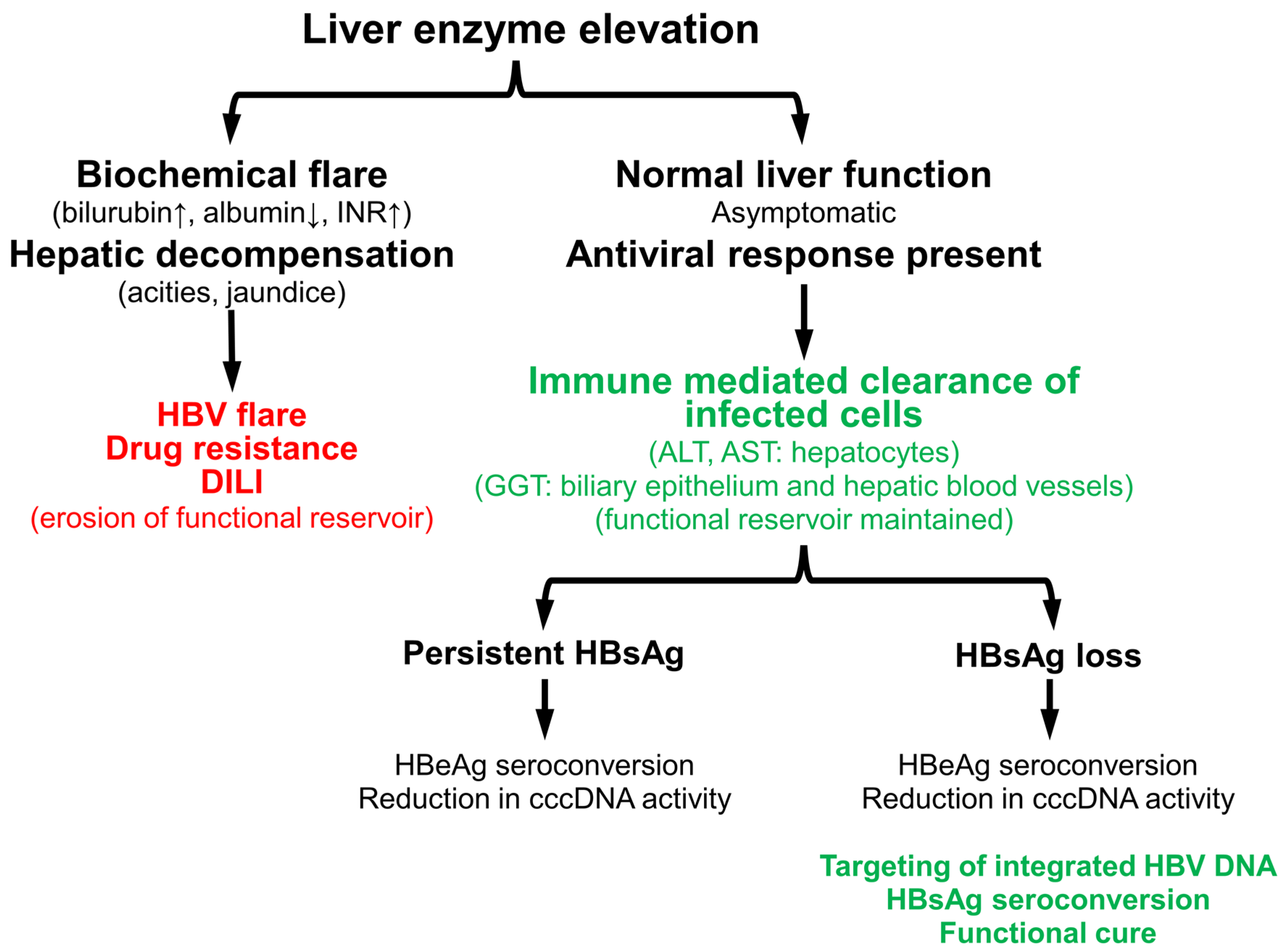 Viruses 13 00745 g006