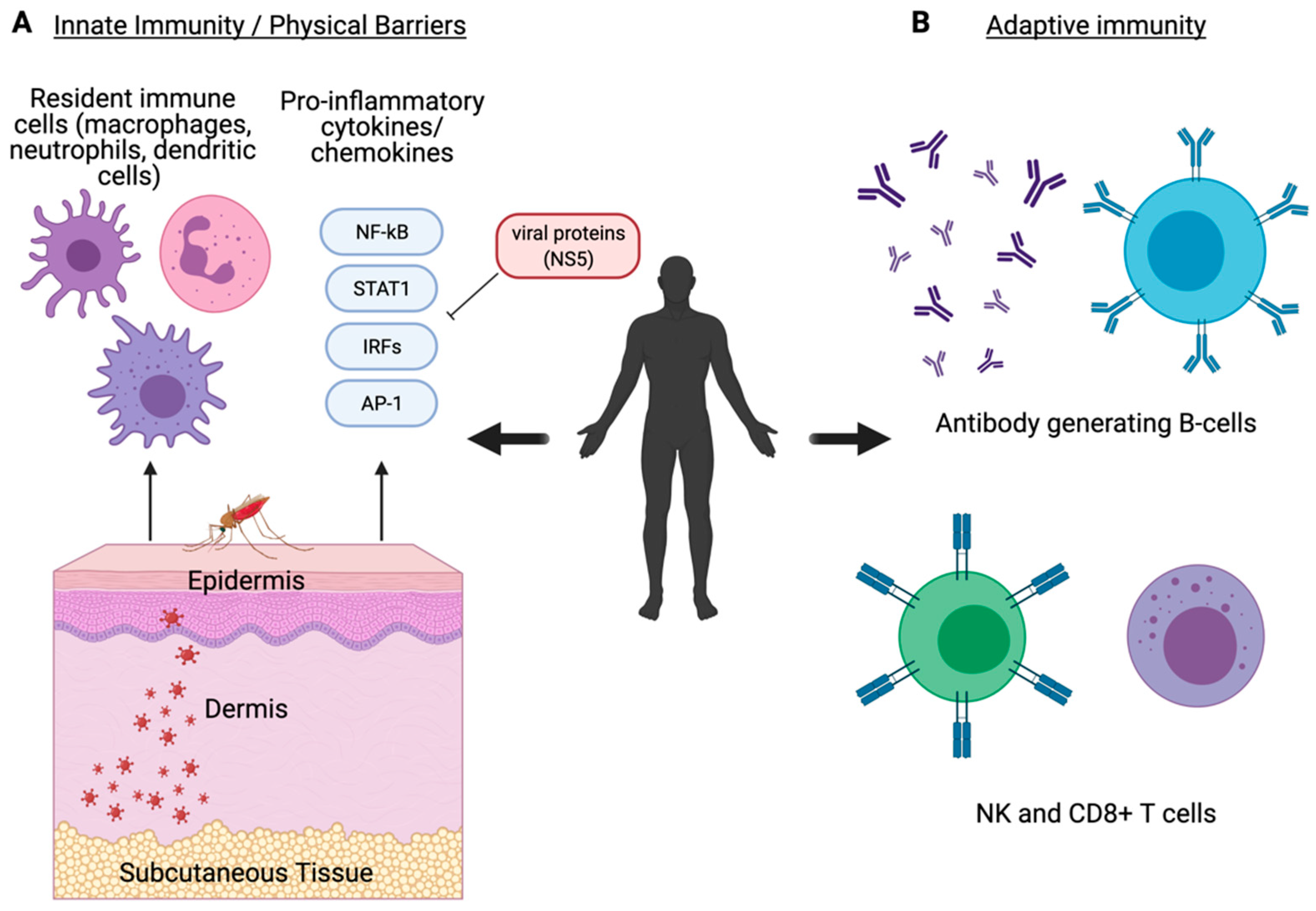Viruses 13 00748 g002 Viruses 13 00748 g002