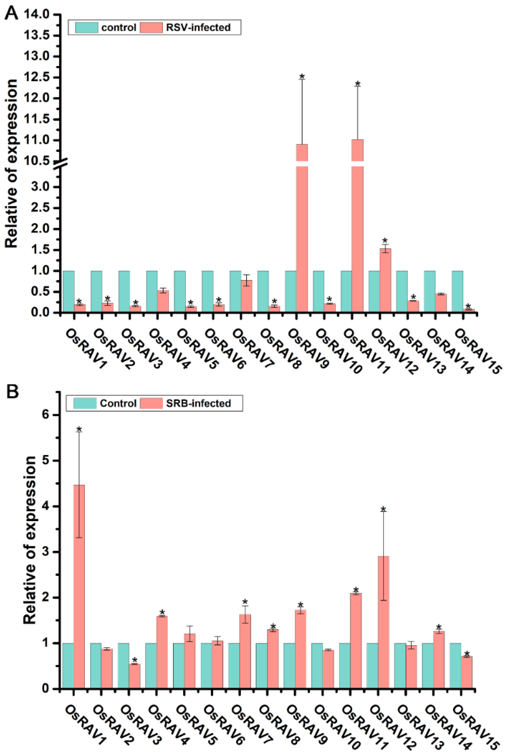 Viruses 13 00752 g008
