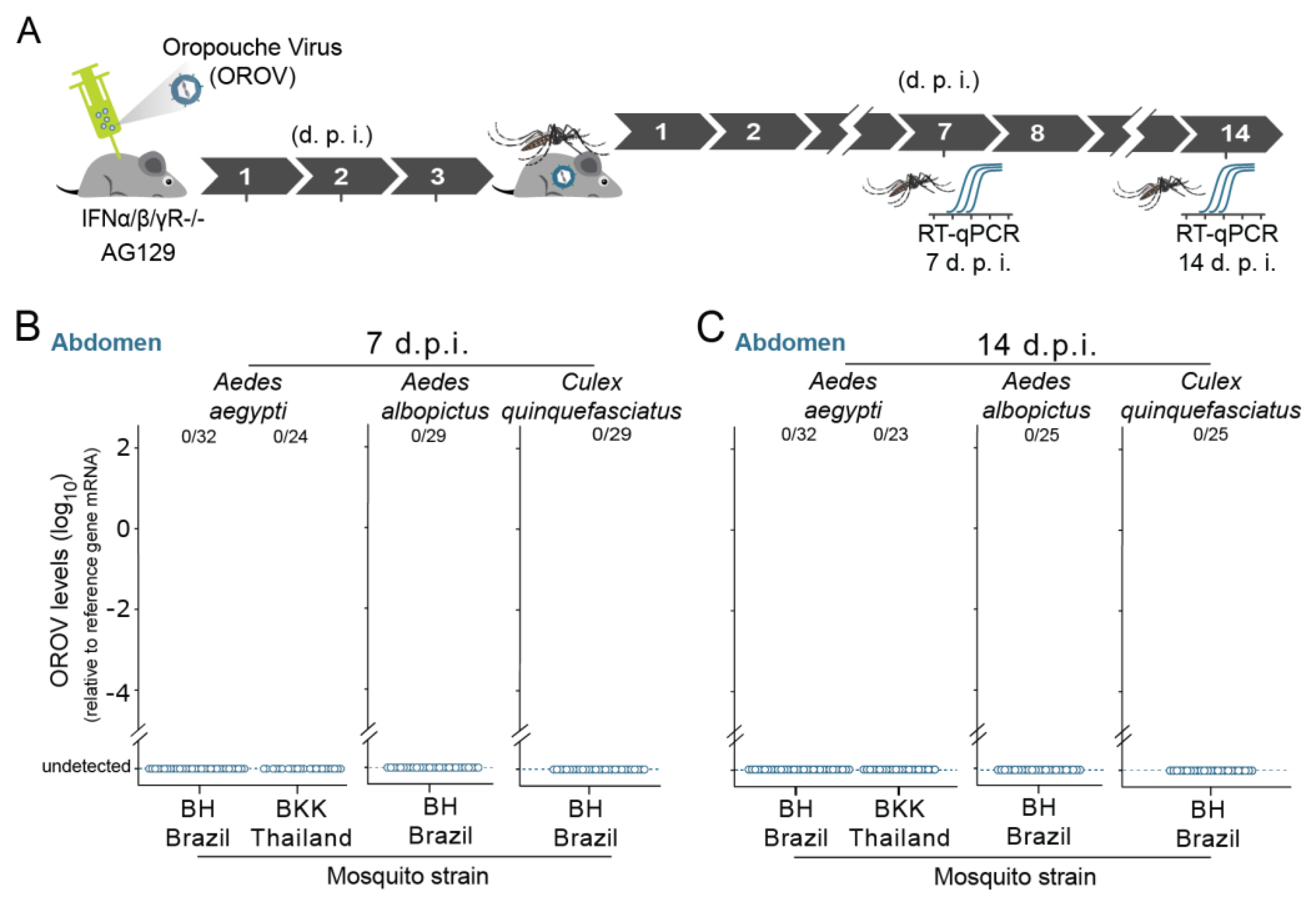 Viruses 13 00755 g003 Viruses 13 00755 g003
