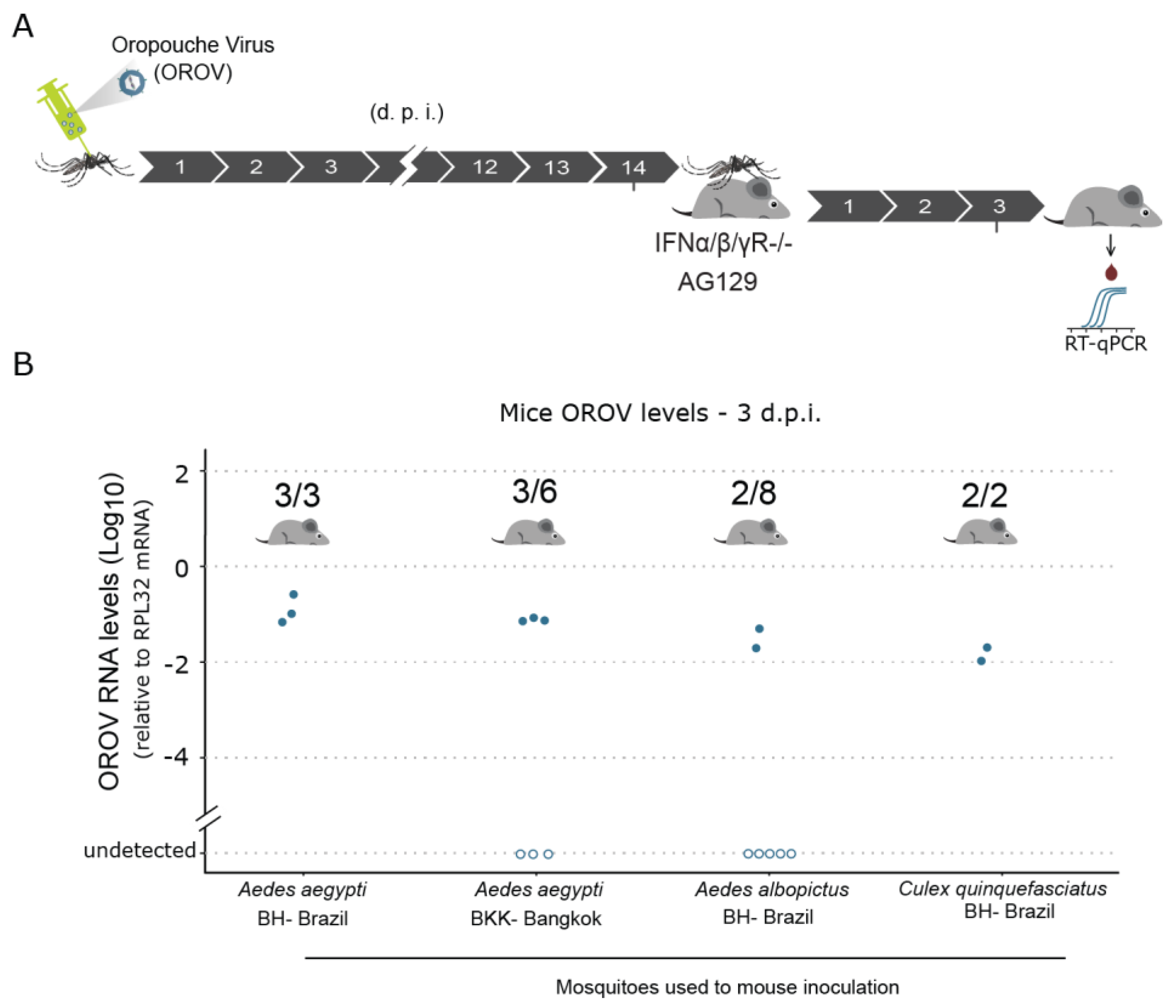 Viruses 13 00755 g005 Viruses 13 00755 g005