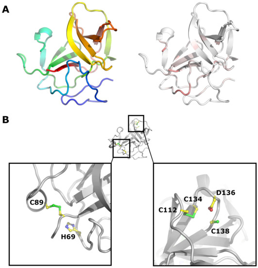 リンダ Virtual Ontogeny of Cortical Growth Preceding Mental Illness