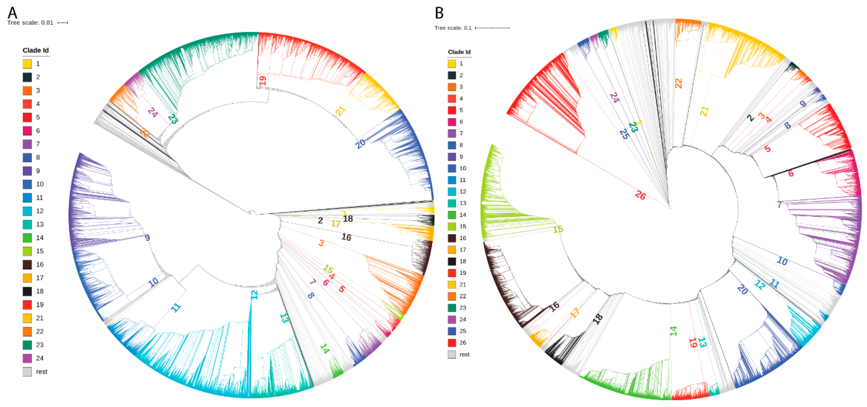 Viruses 13 00764 g001 Viruses 13 00764 g001