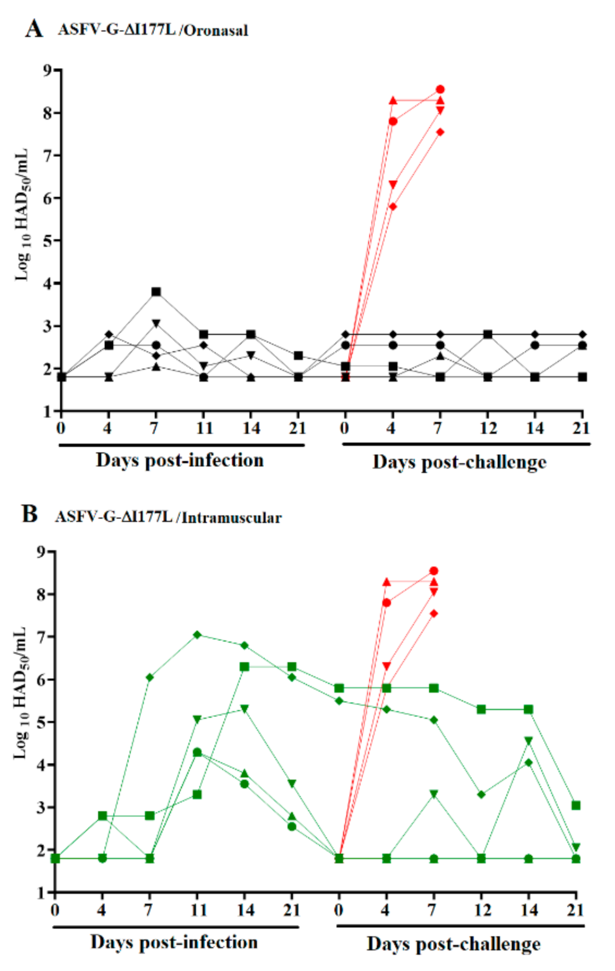 Viruses 13 00765 g002
