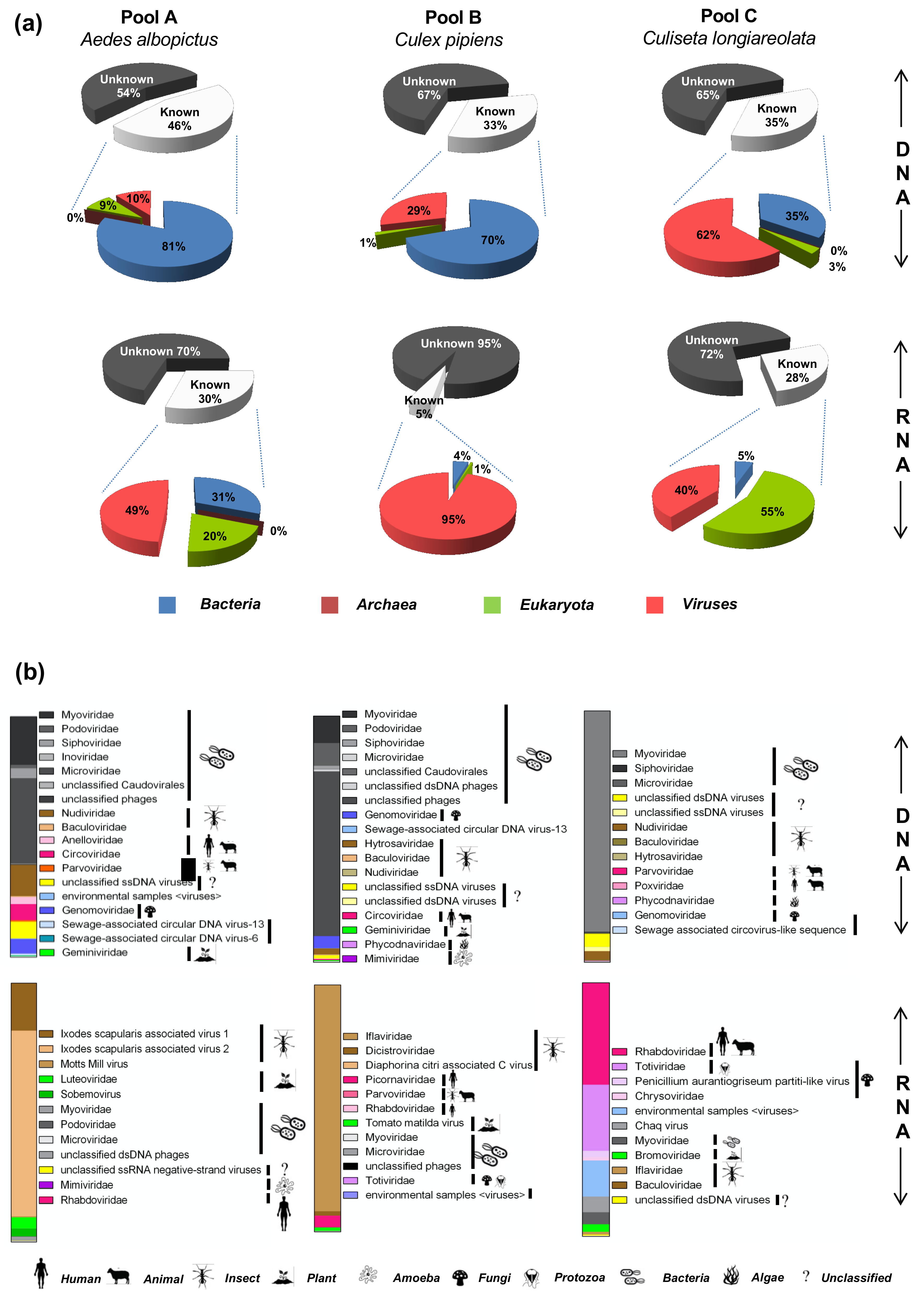 Viruses 13 00768 g003