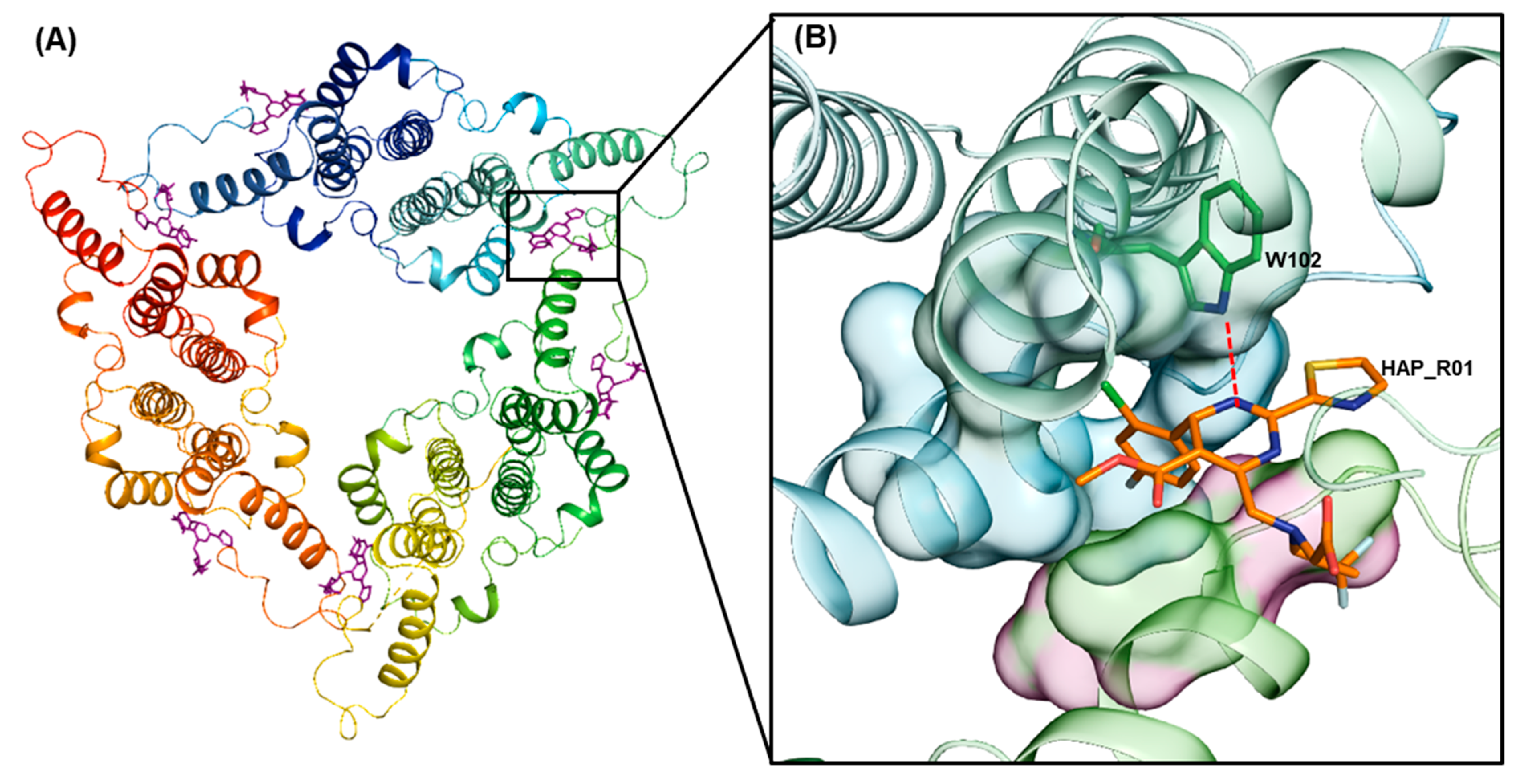 Viruses 13 00770 g002 Viruses 13 00770 g002