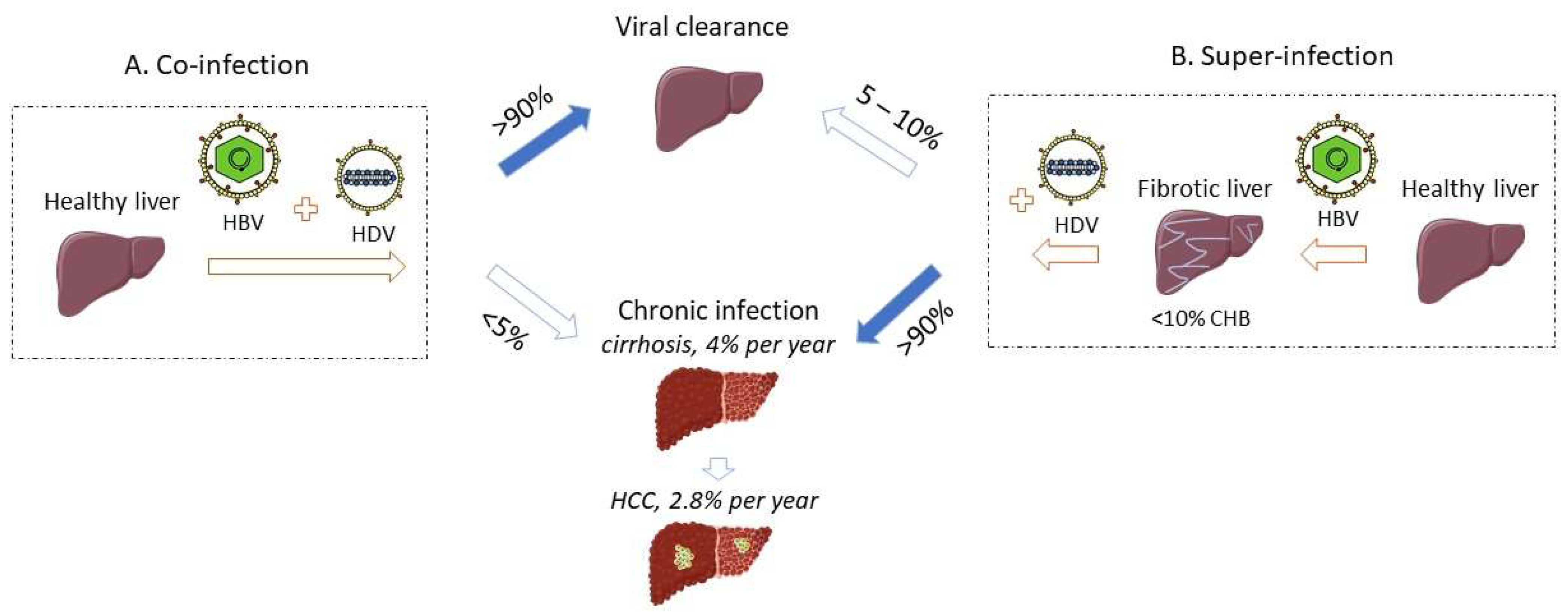 Viruses 13 00778 g001 Viruses 13 00778 g001