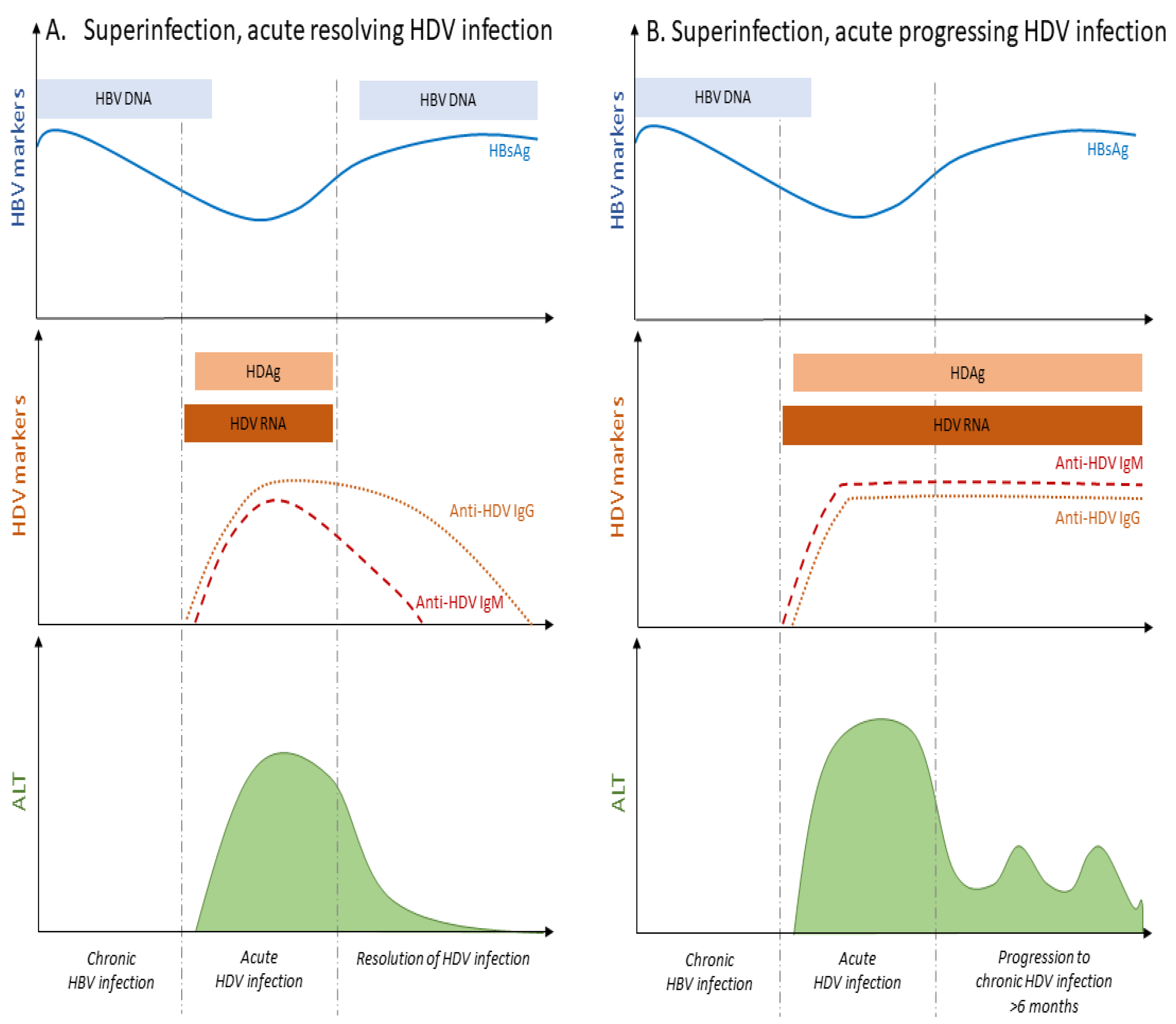 Viruses 13 00778 g003 Viruses 13 00778 g003