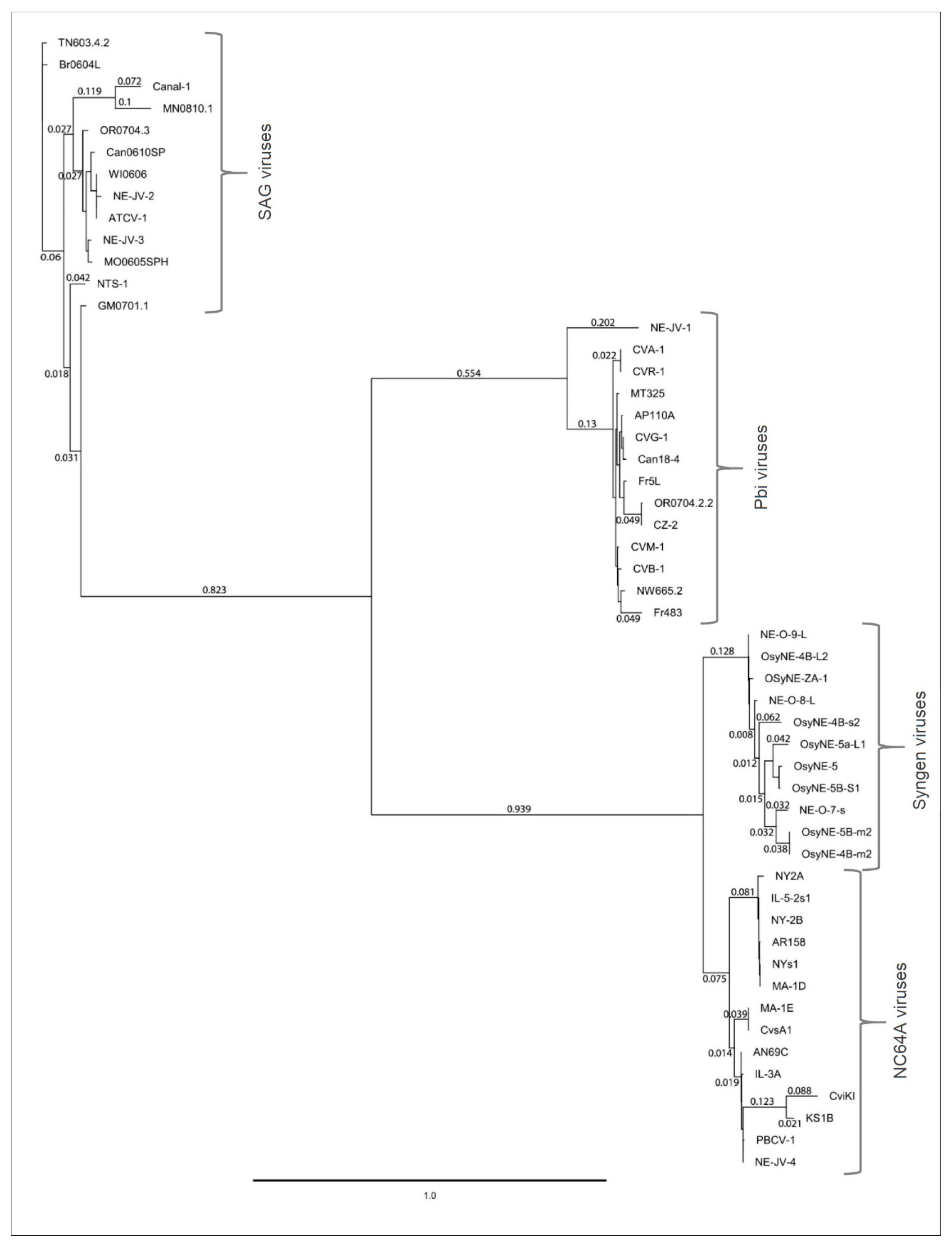 Viruses 13 00782 g010