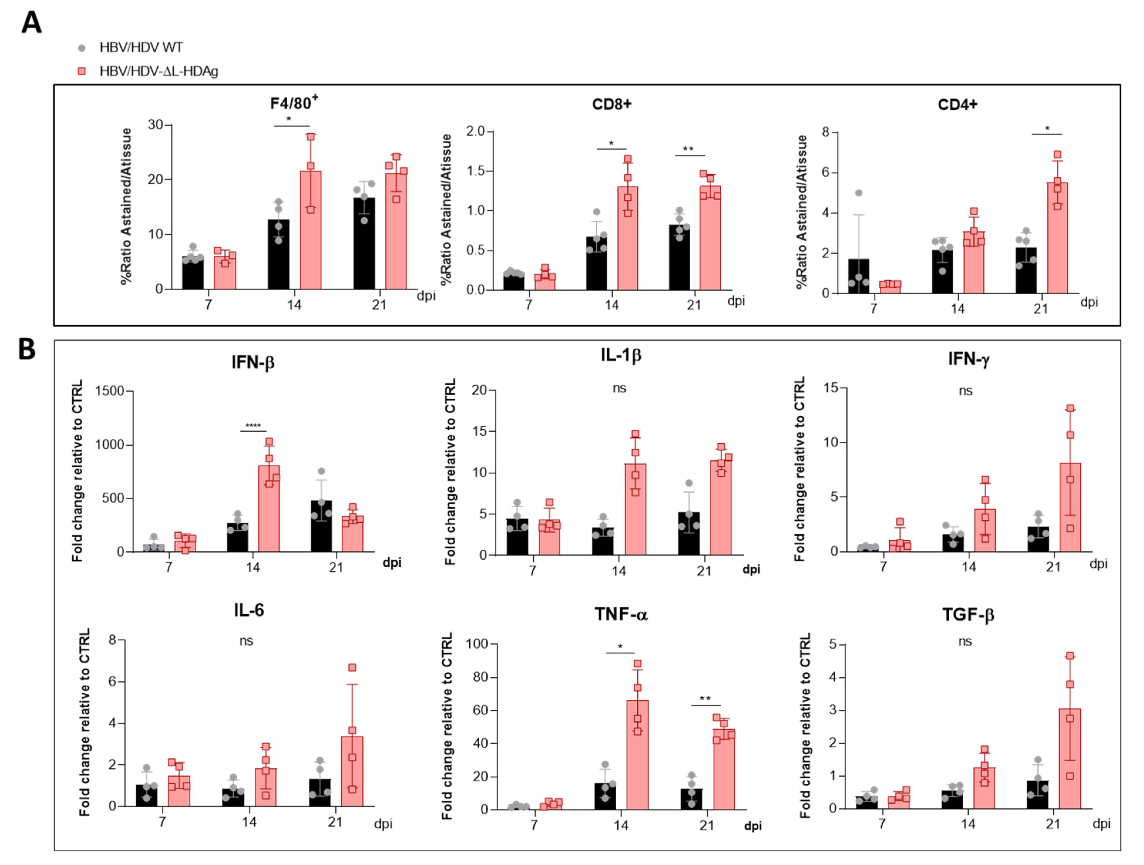 Viruses 13 00788 g005