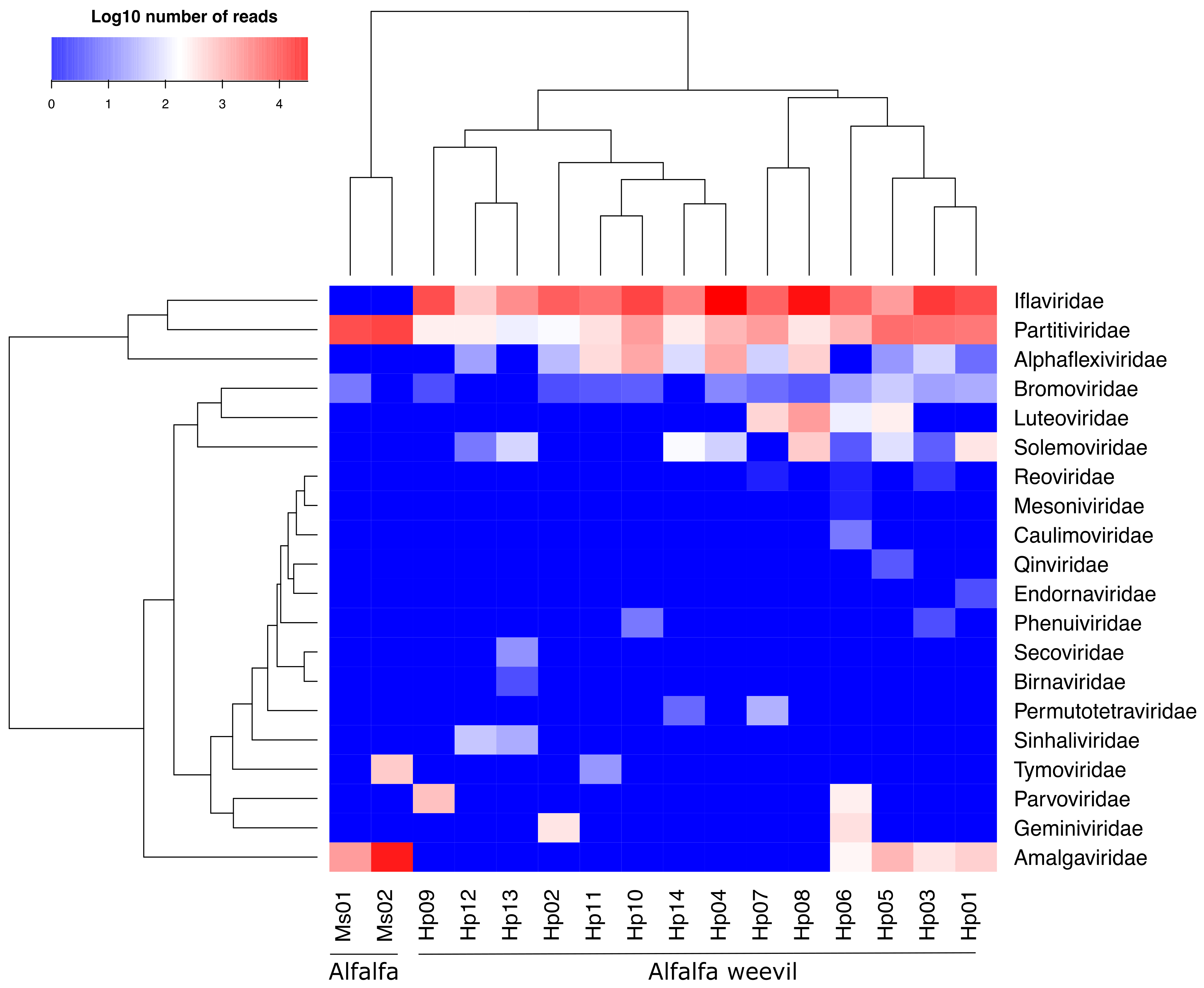 Viruses 13 00791 g004 Viruses 13 00791 g004