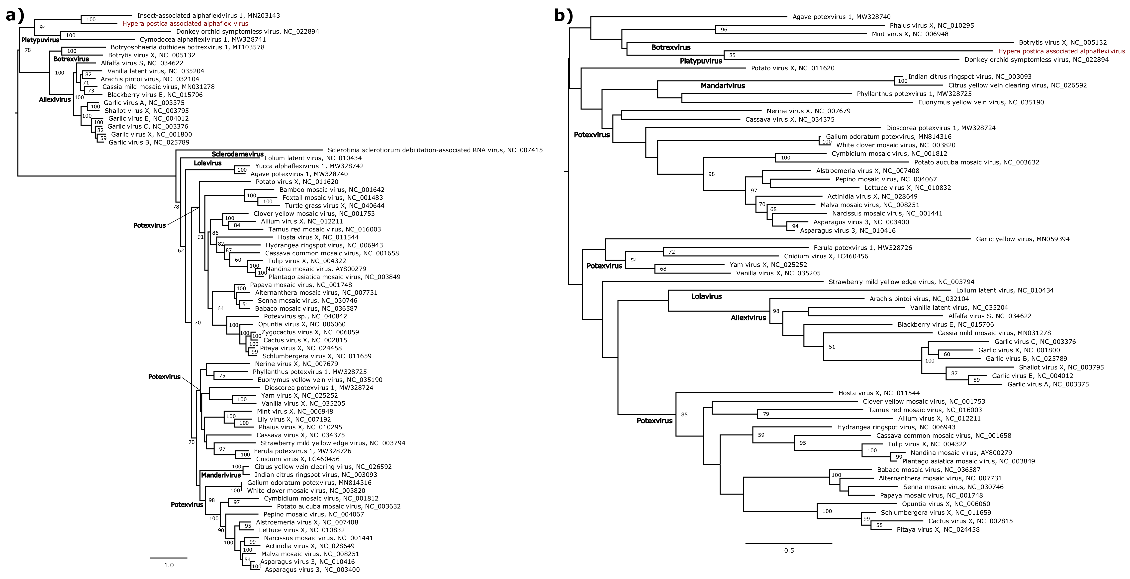 Viruses 13 00791 g005 Viruses 13 00791 g005