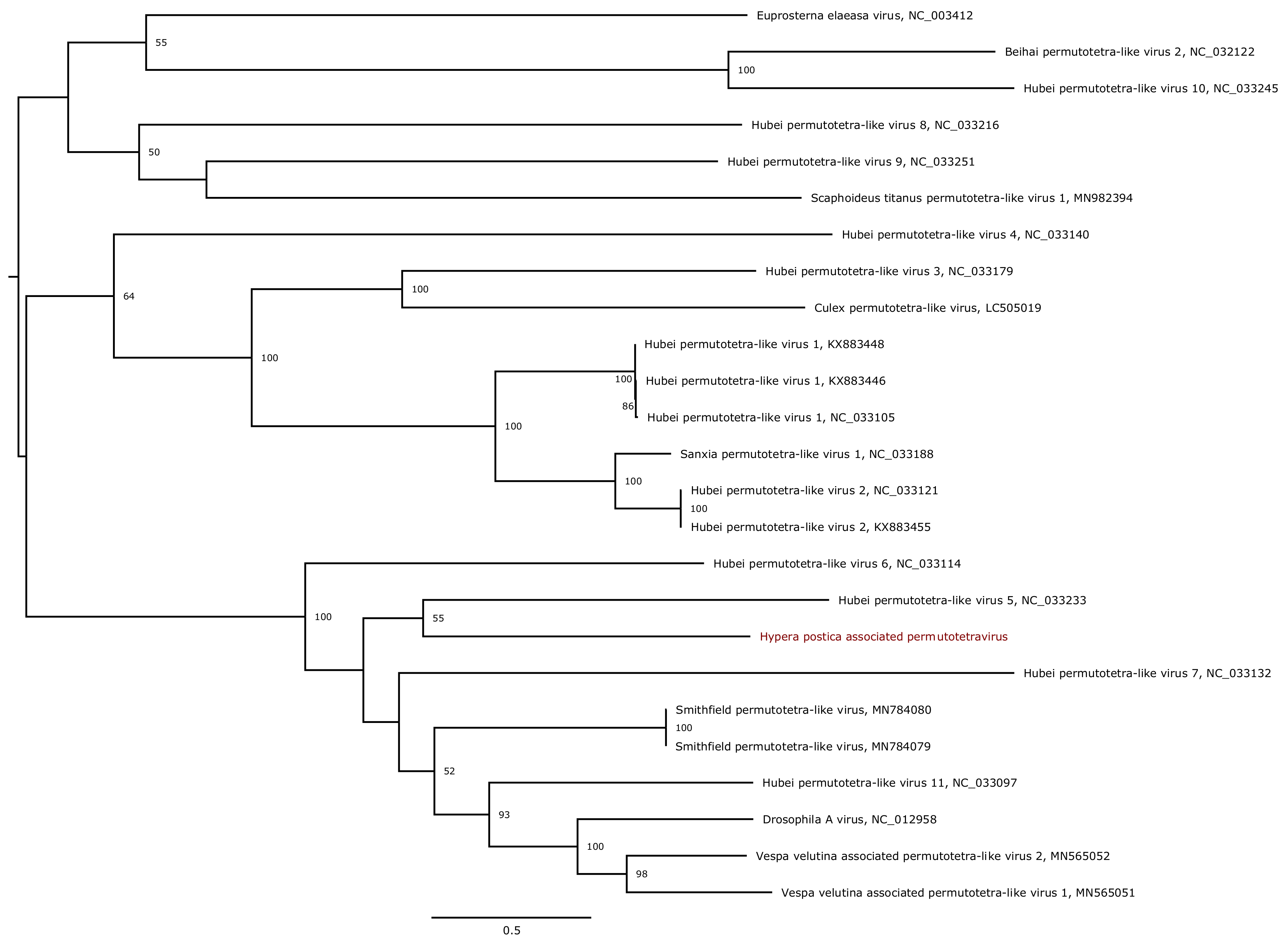 Viruses 13 00791 g008 Viruses 13 00791 g008