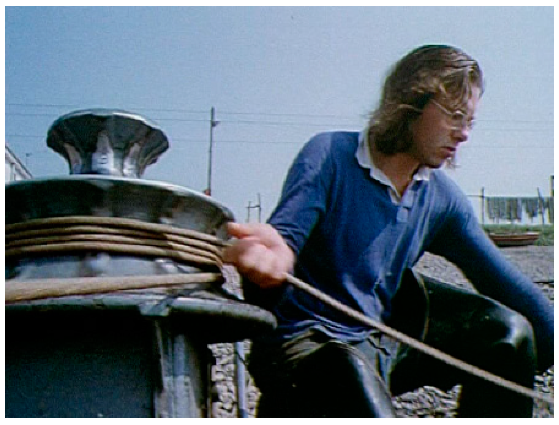 Viruses 13 00793 g001 550