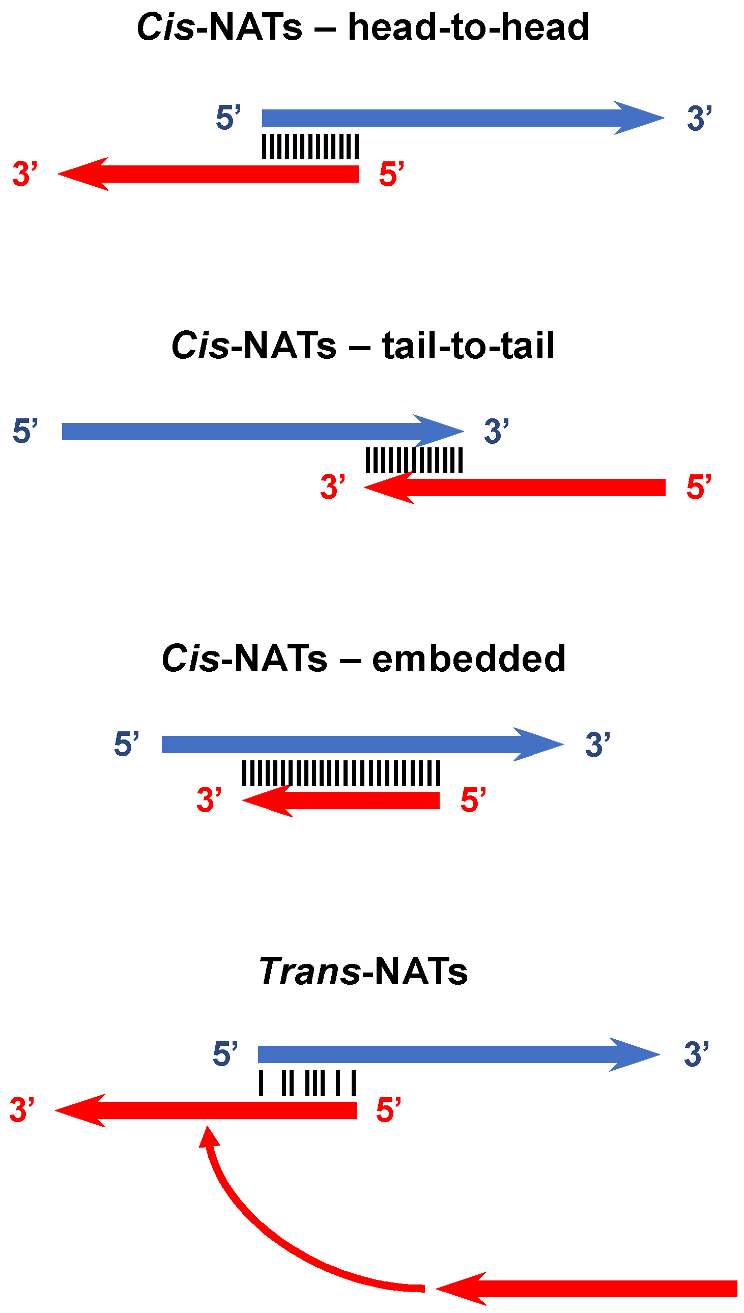 Viruses 13 00795 g001 Viruses 13 00795 g001