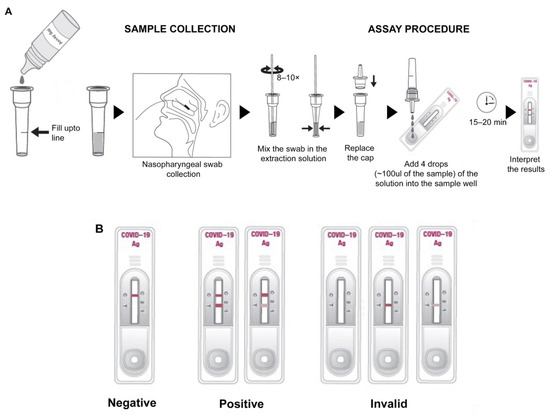 Development and Clinical Evaluation of an Immunochromatography-Based ...