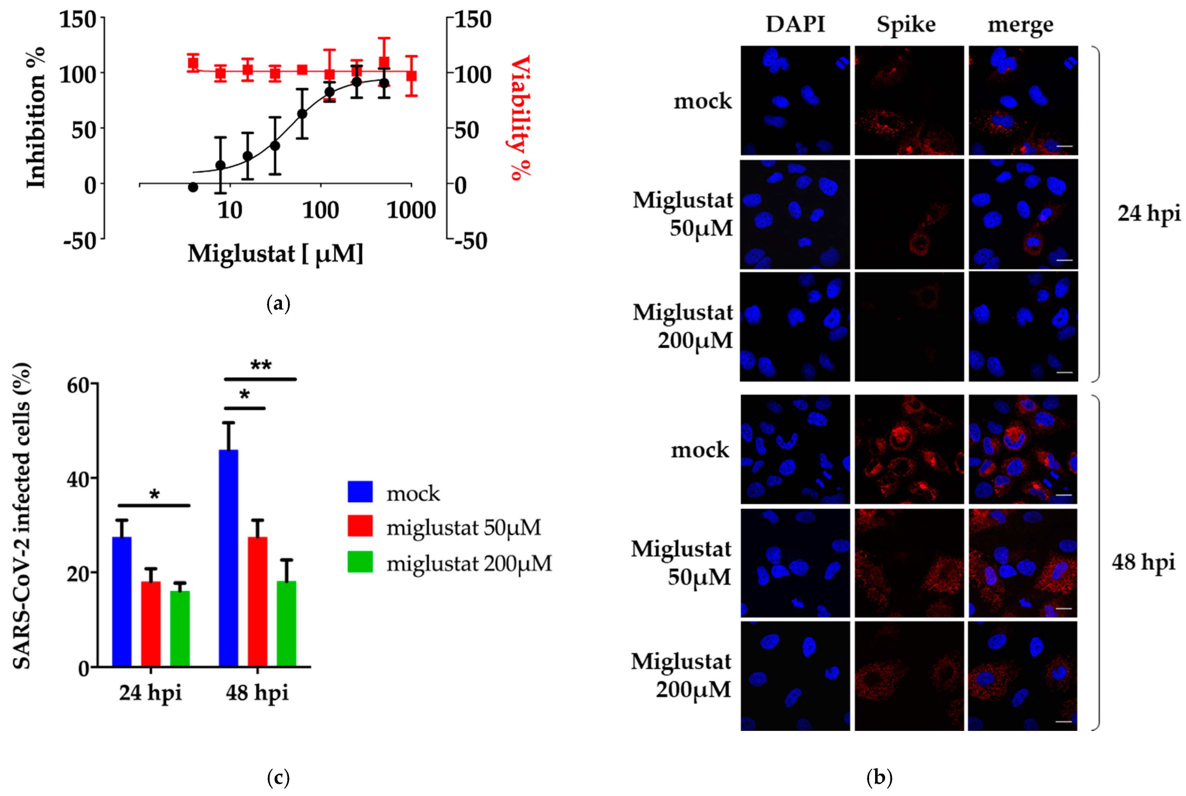 Viruses 13 00808 g001
