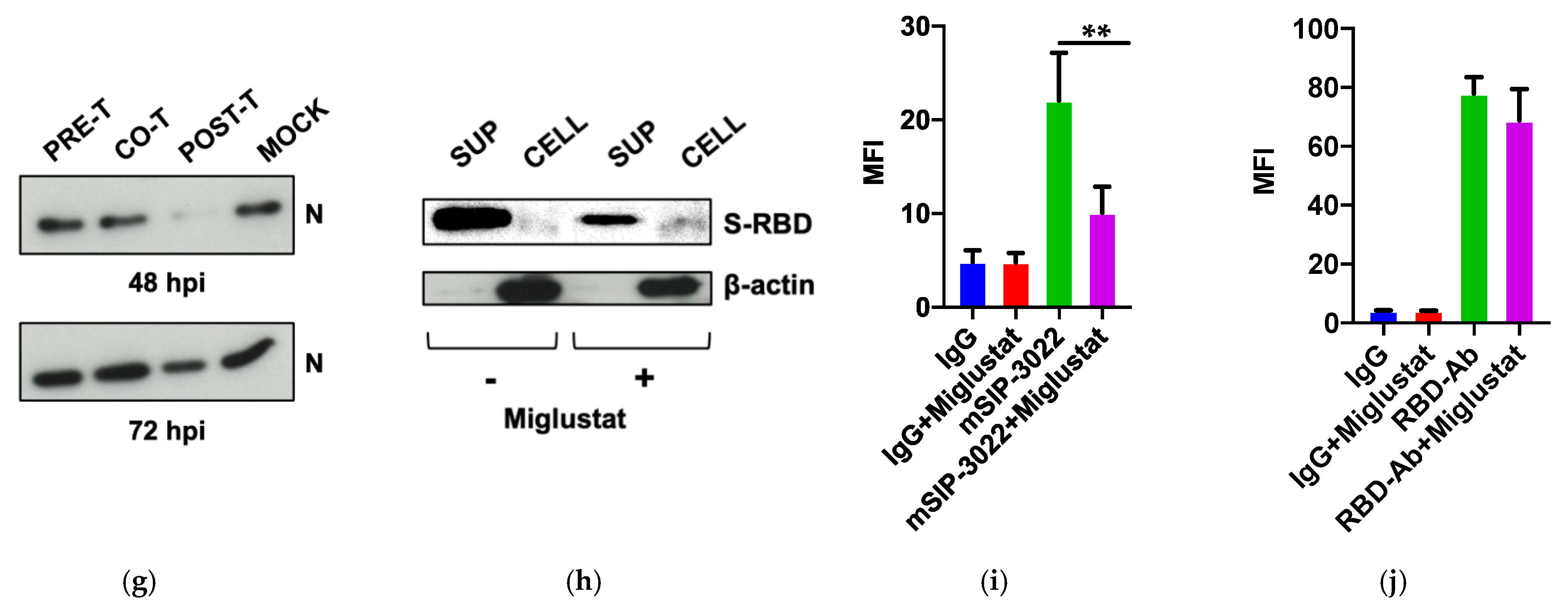 Viruses 13 00808 g002b