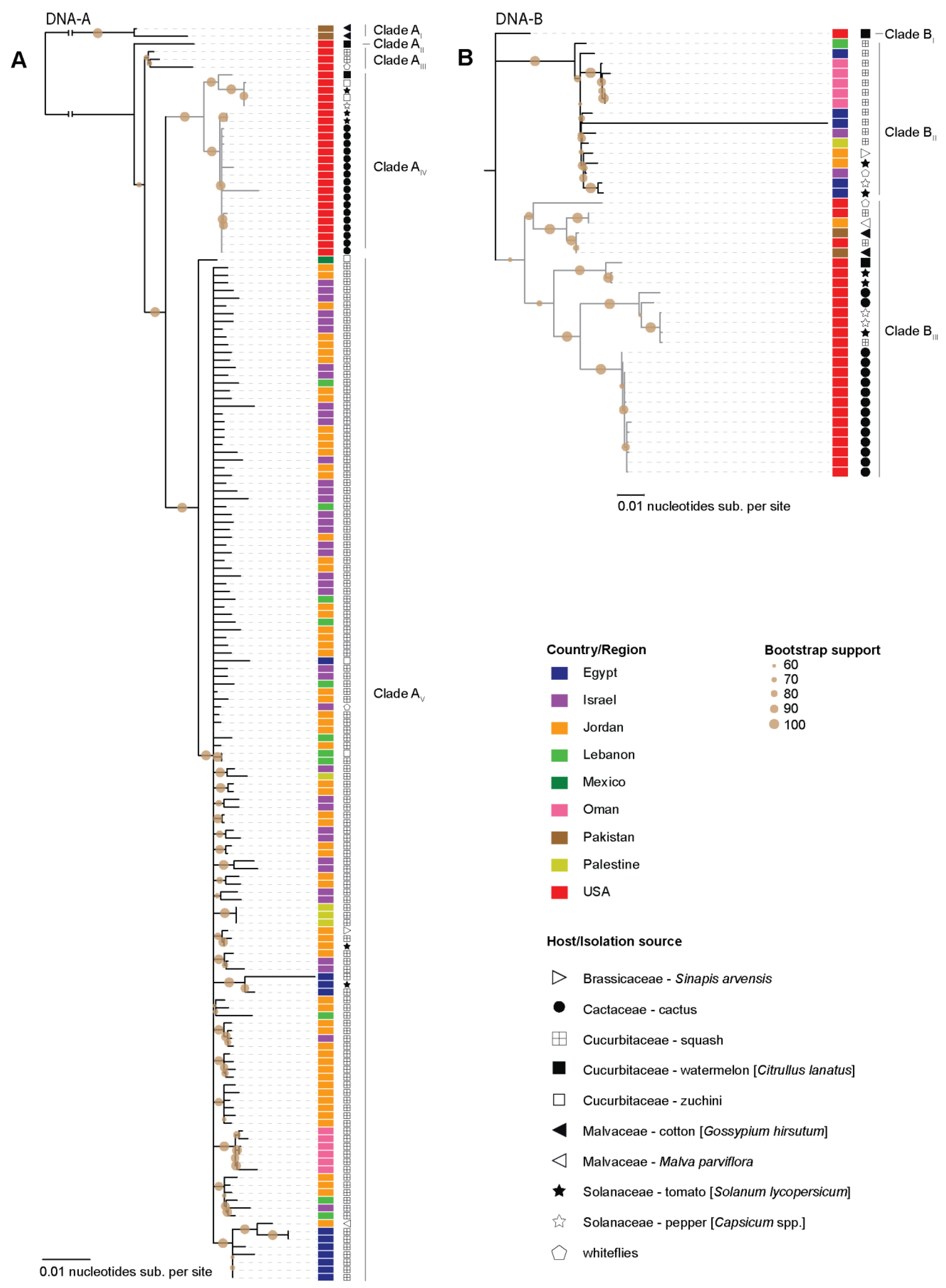 Viruses 13 00810 g002