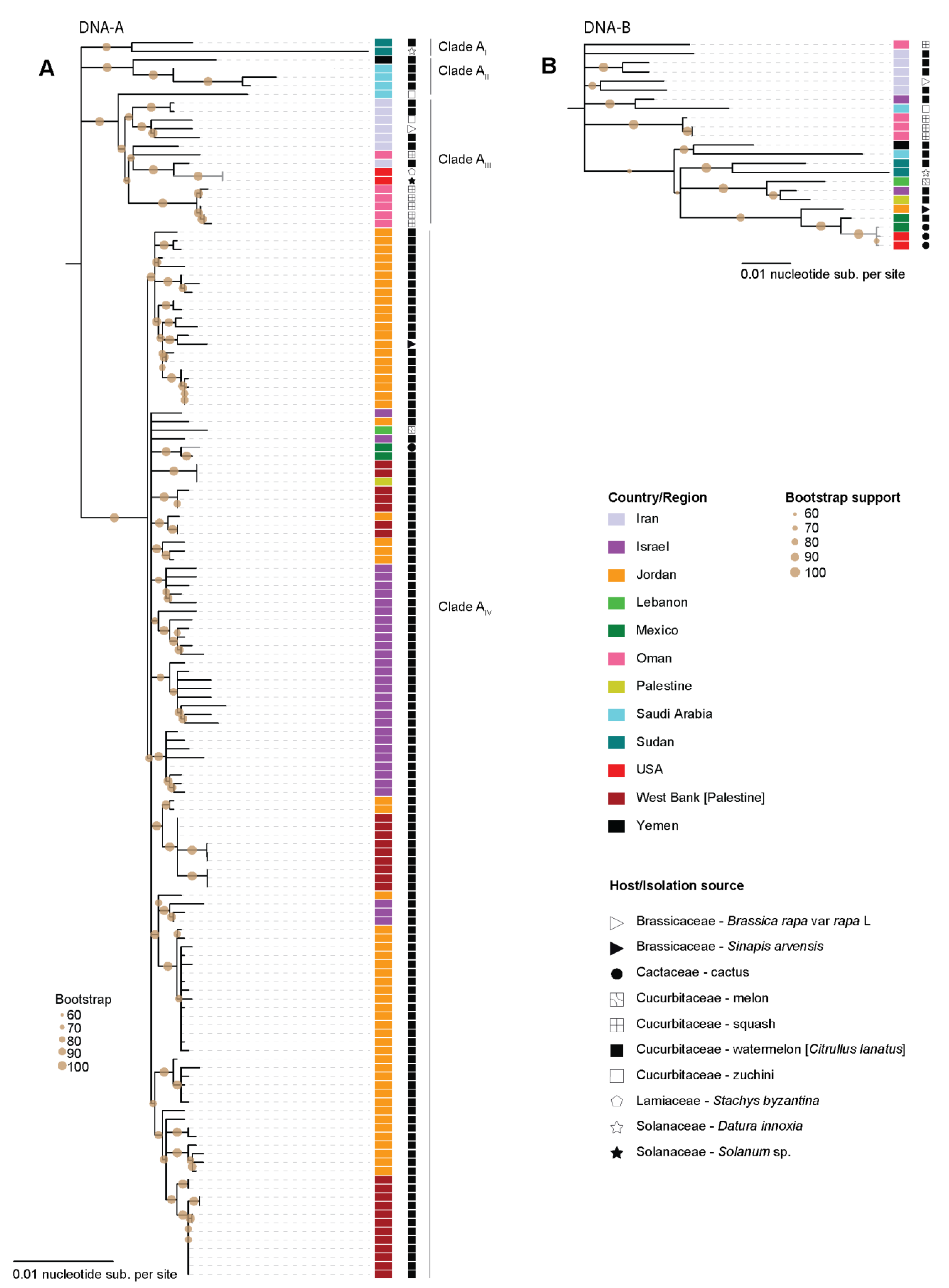 Viruses 13 00810 g003