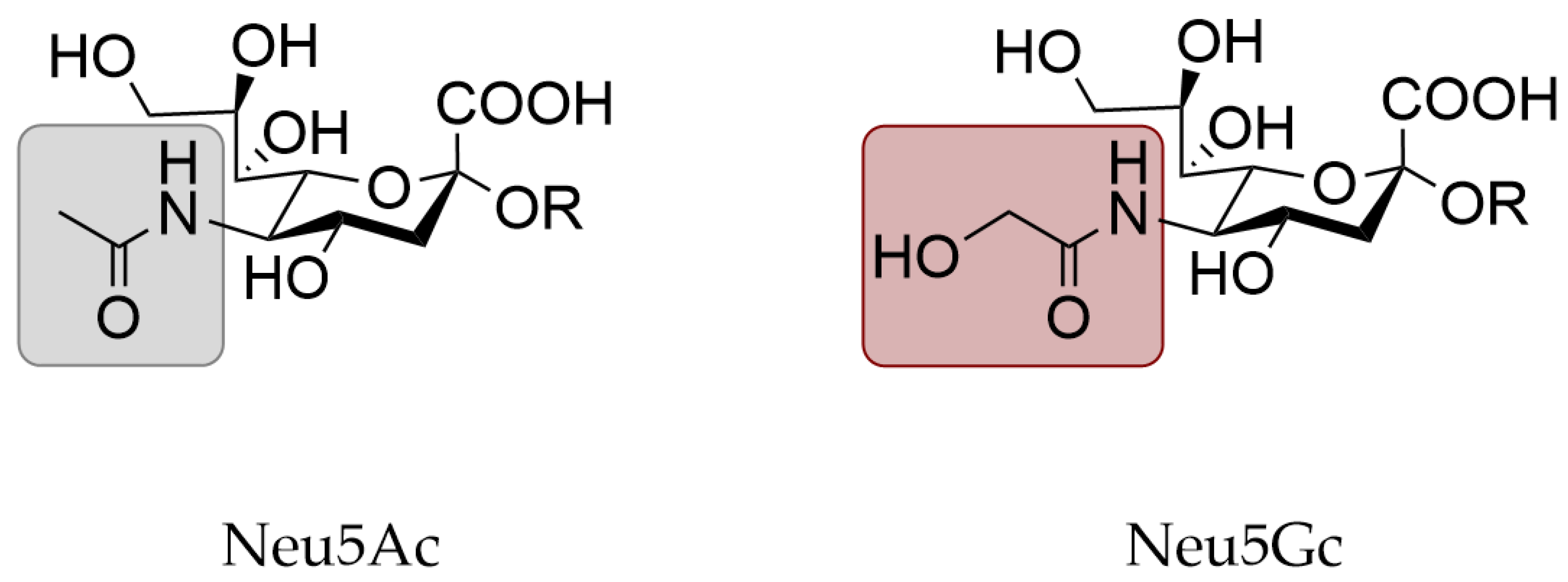 Viruses Free Full Text N Glycolylneuraminic Acid In Animal Models For Human Influenza A Virus