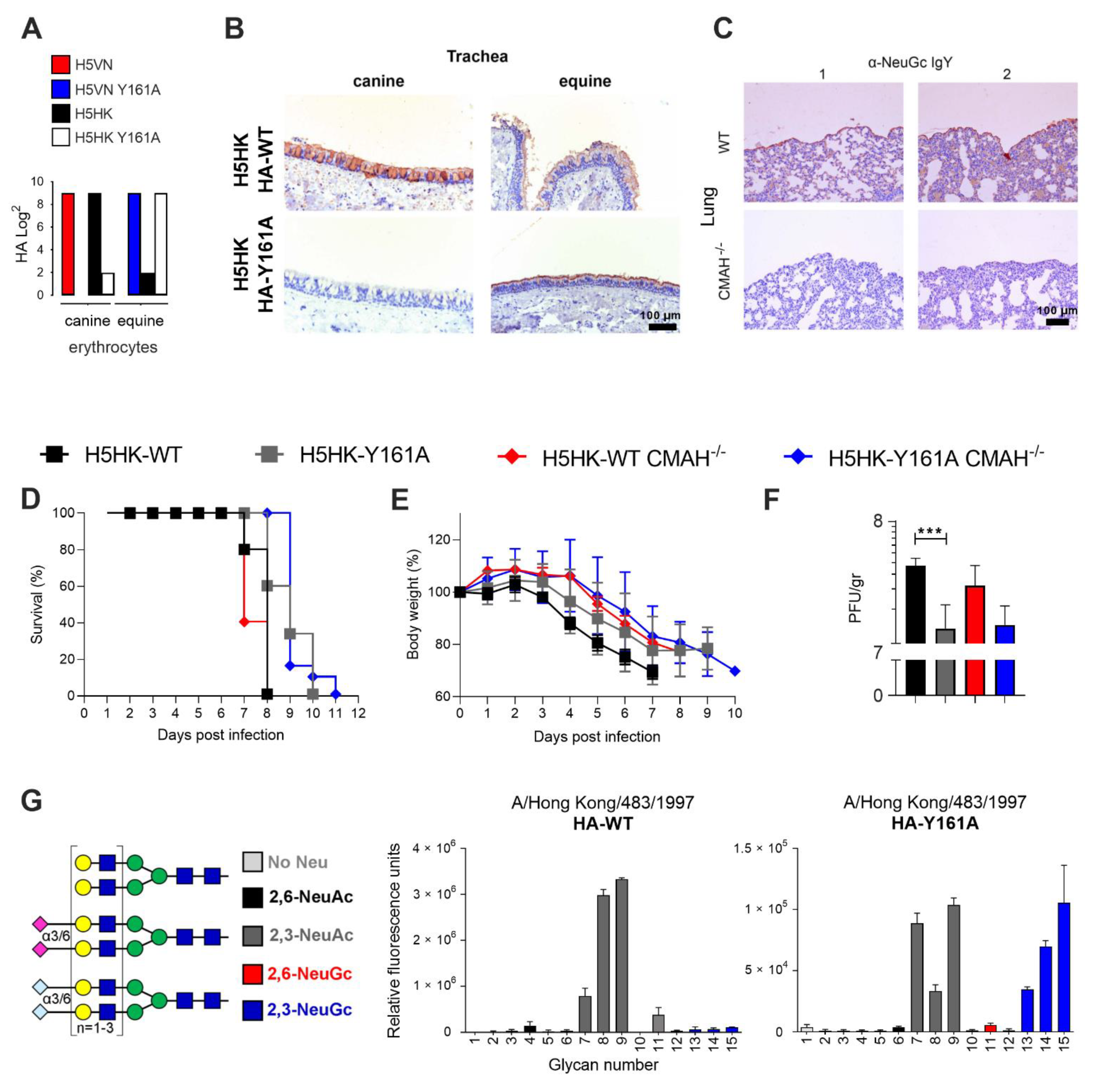 Viruses 13 00815 g003 Viruses 13 00815 g003