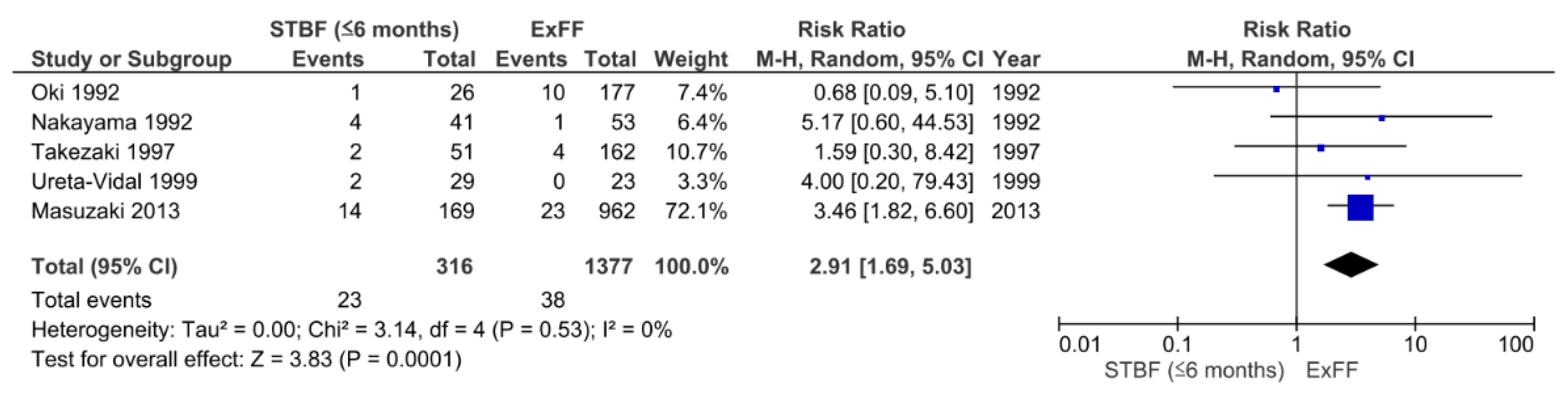 Viruses 13 00819 g004