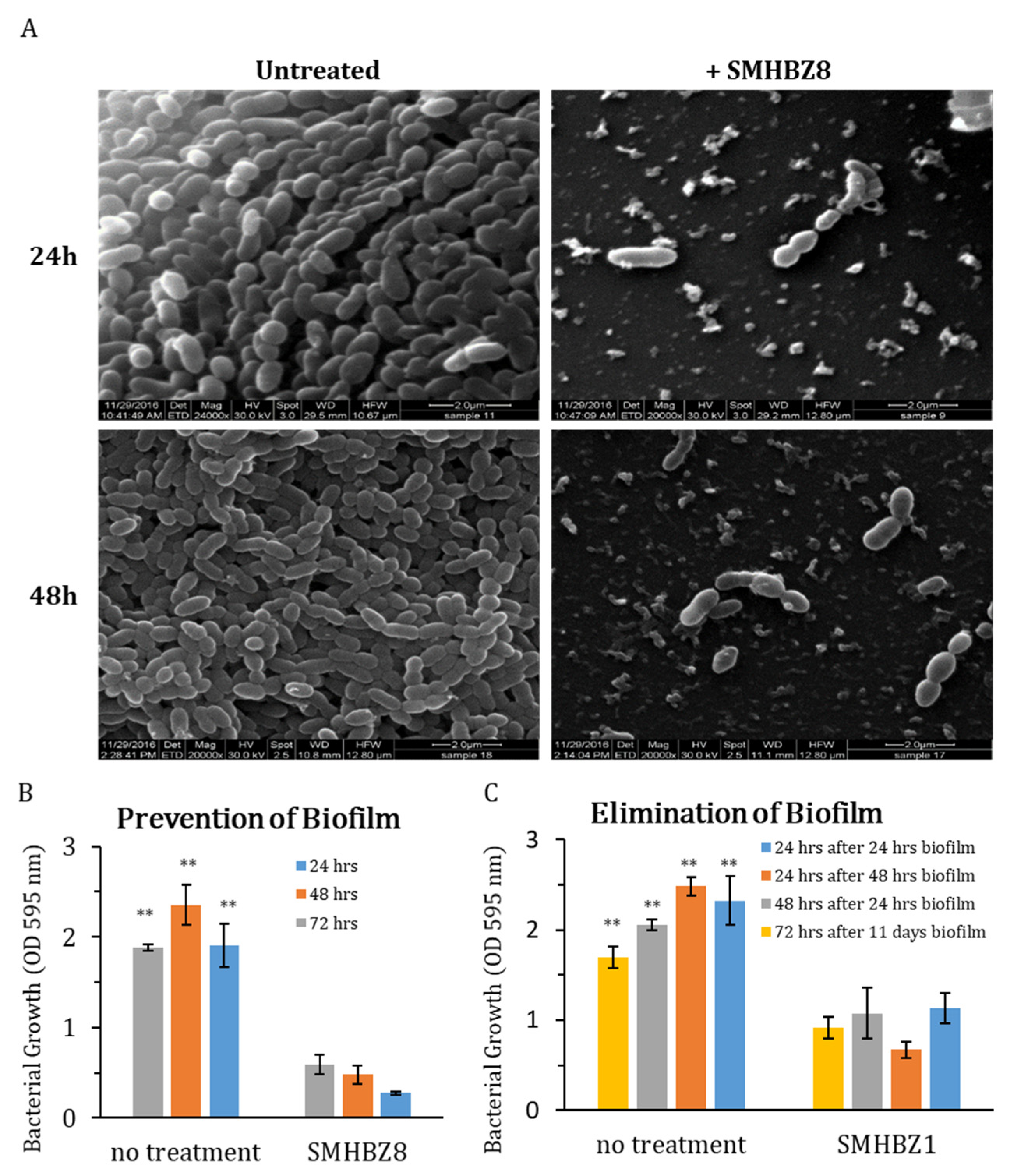 Viruses 13 00825 g003