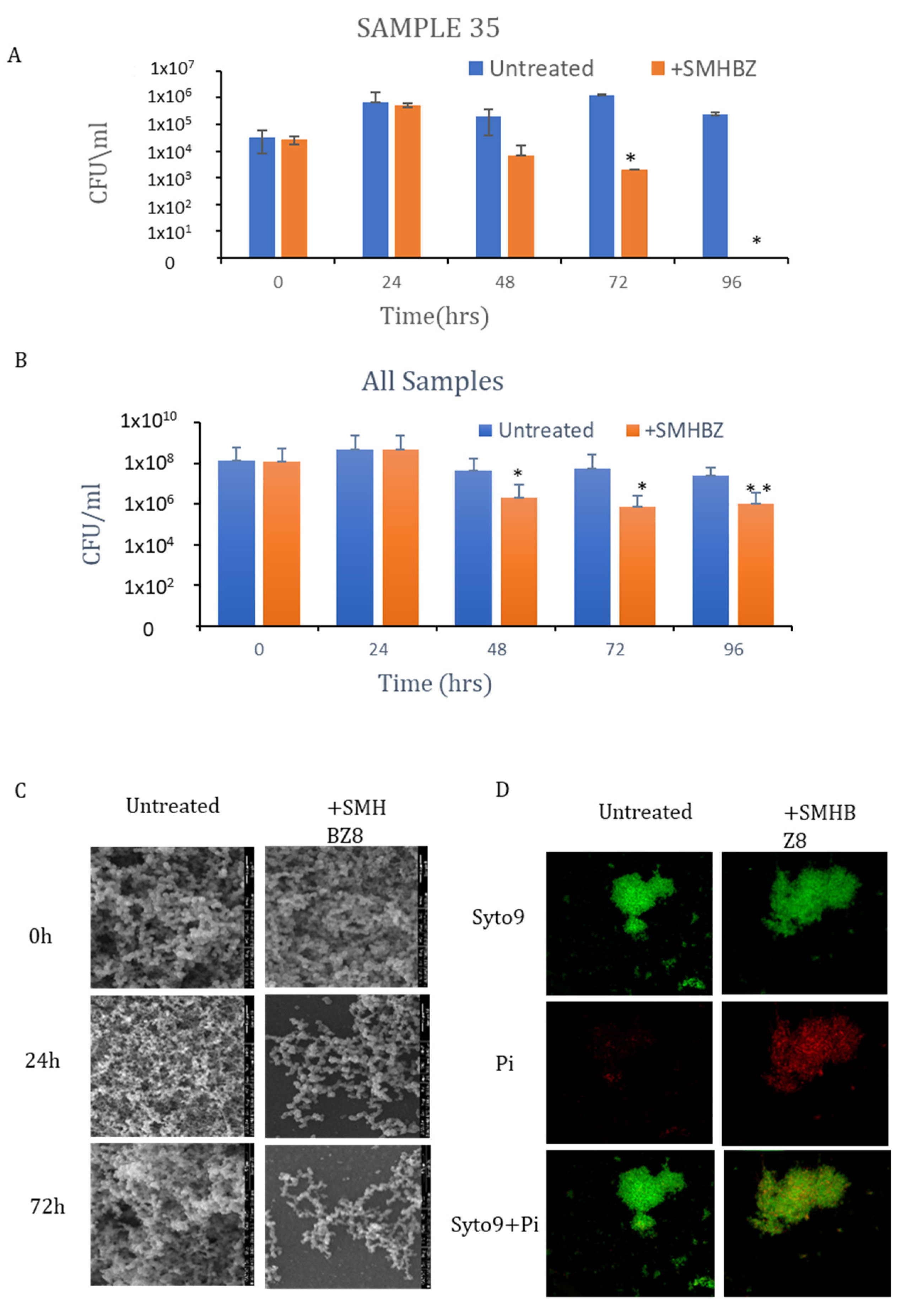 Viruses 13 00825 g005