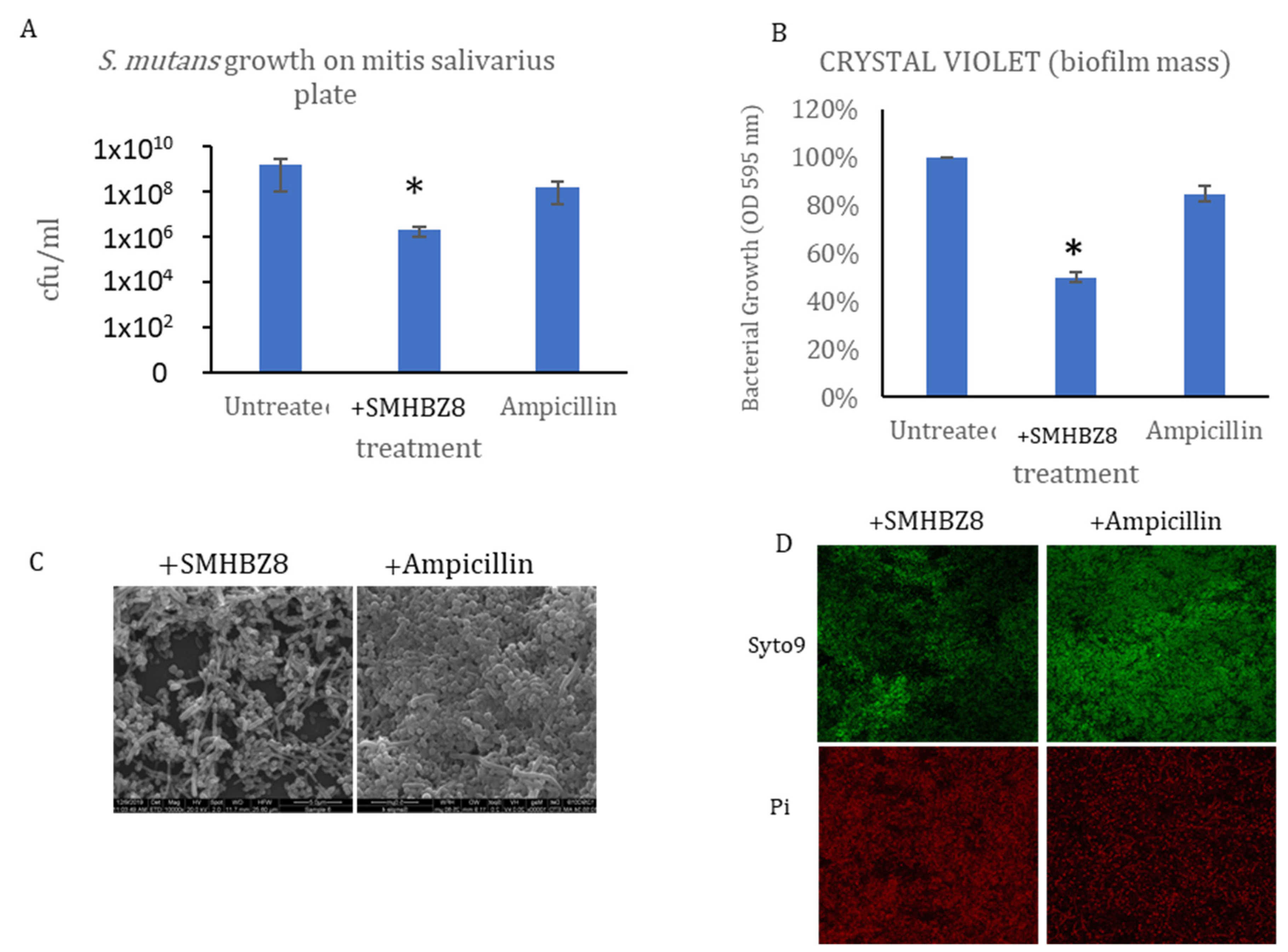 Viruses 13 00825 g006