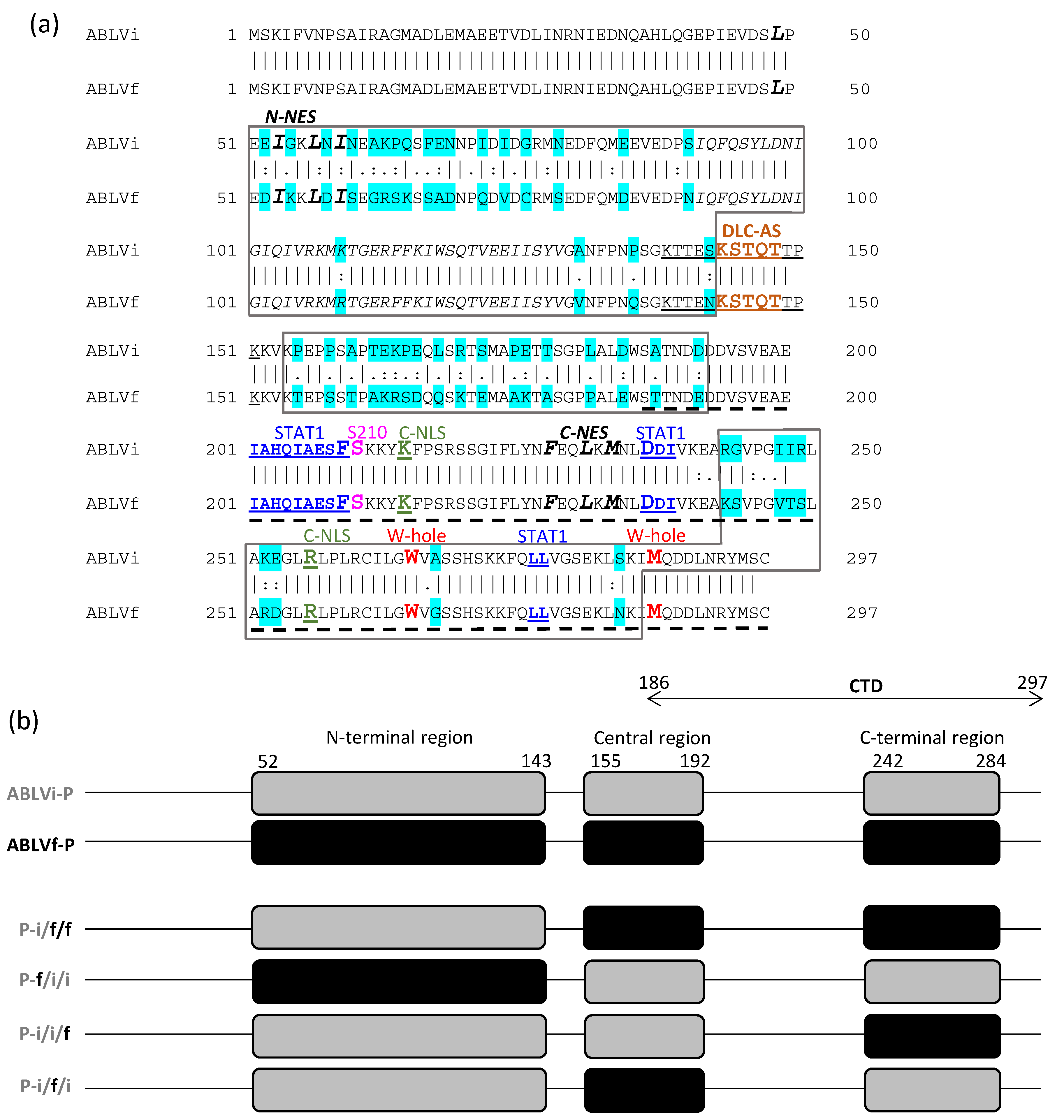 Viruses Free FullText Phenotypic Divergence of P Proteins of