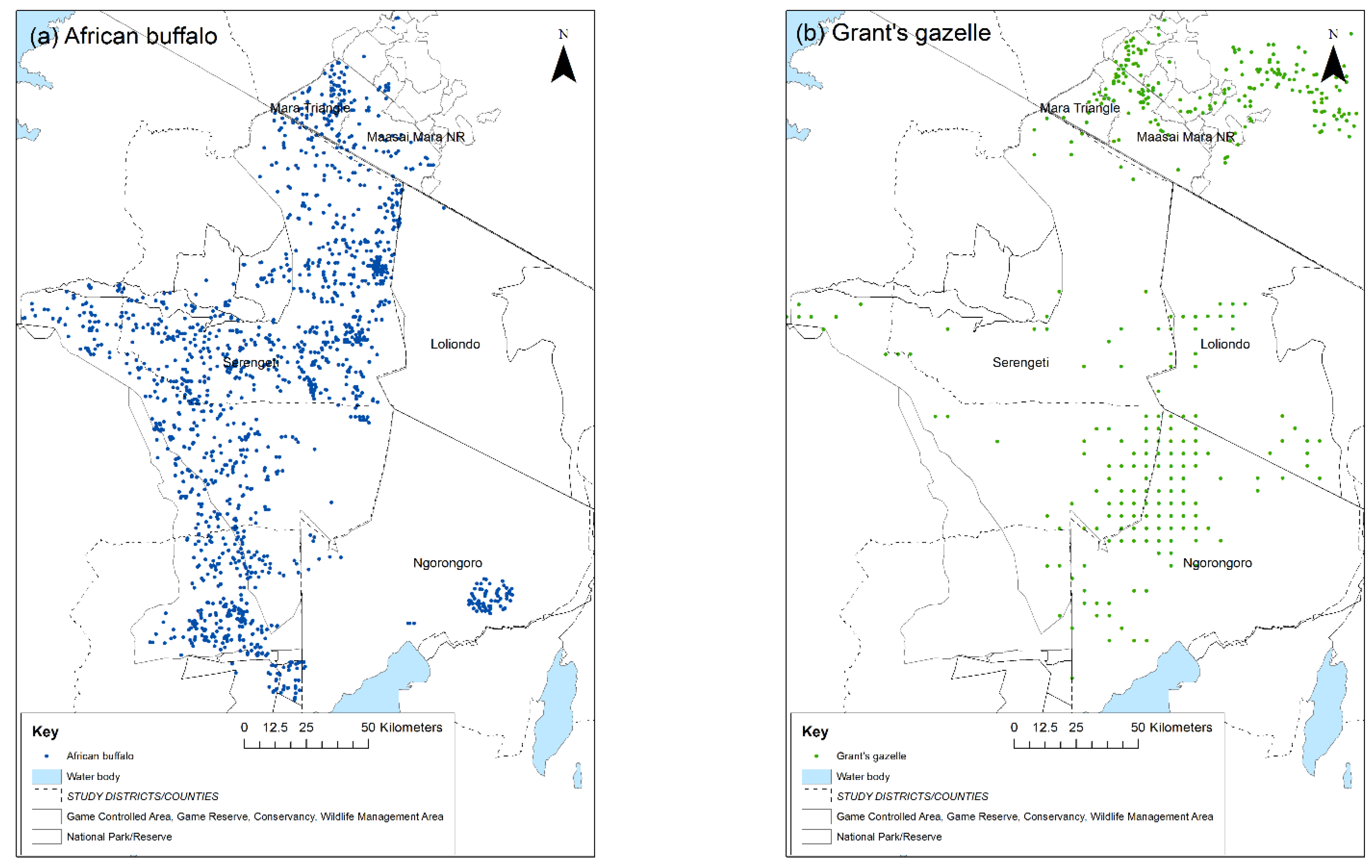 Viruses 13 00838 g002 Viruses 13 00838 g002